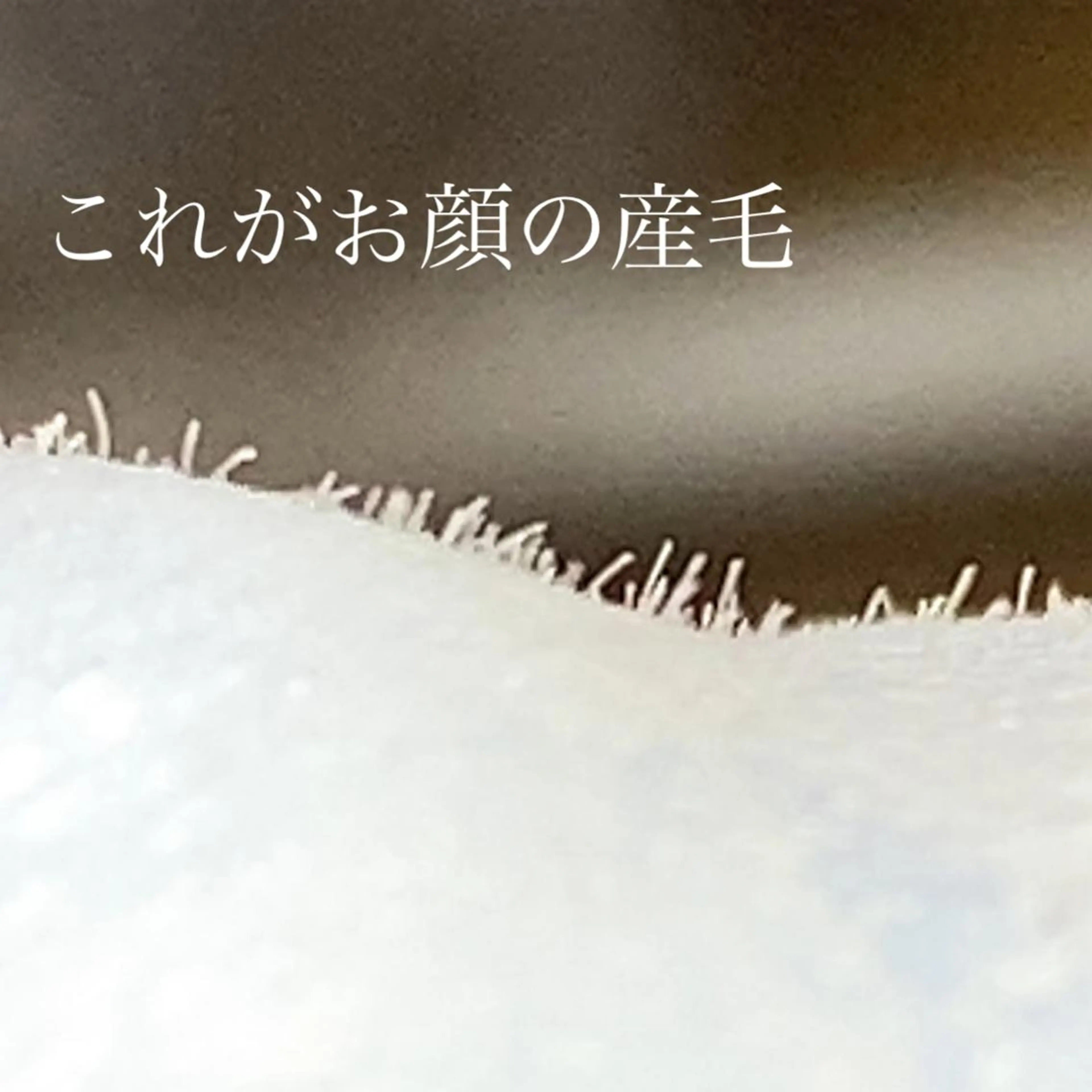 noheanc所属・次世代まつげパーマ フェイシャルワックスのマツエク・マツパデザイン