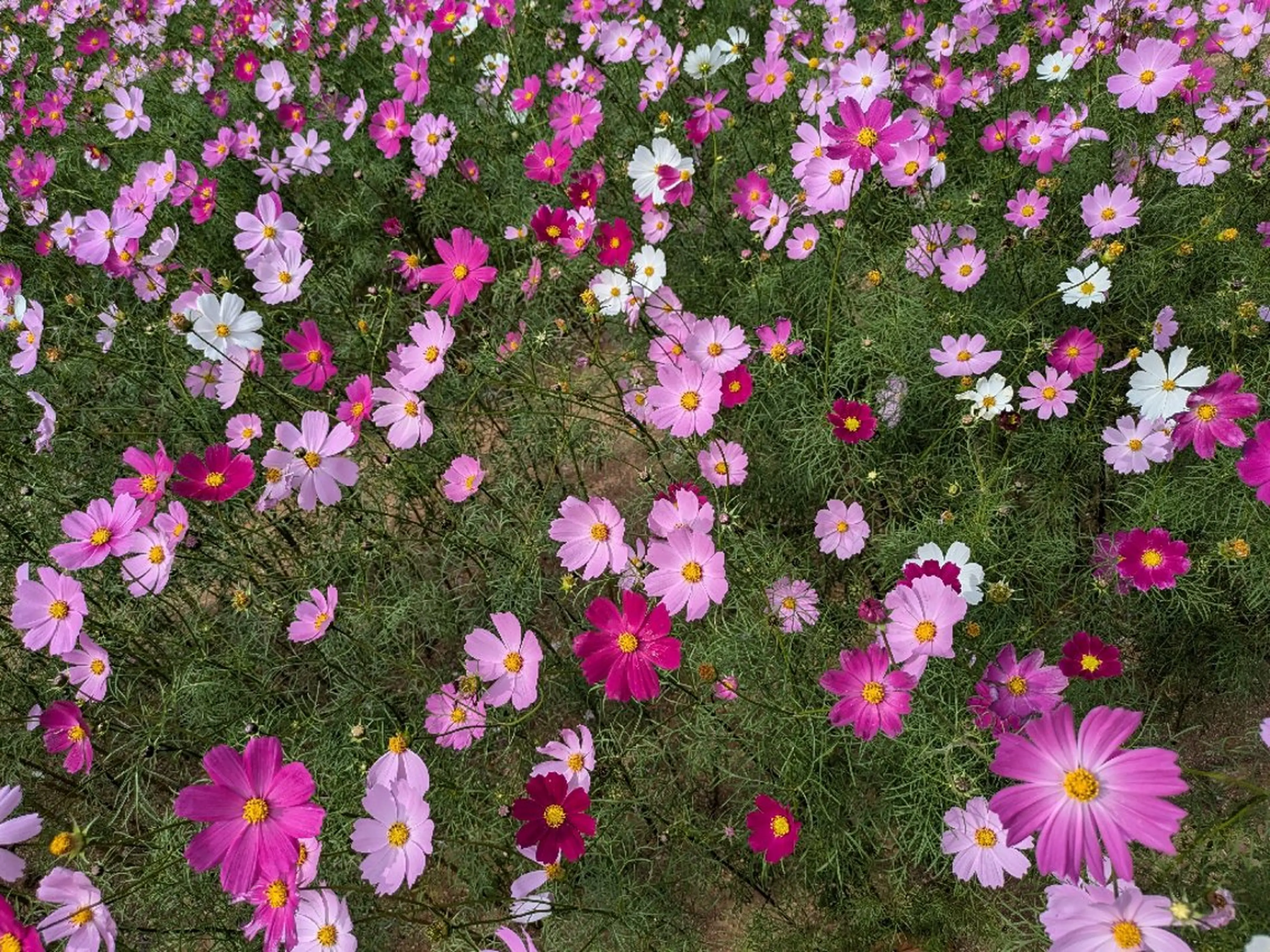ＰＯＬＡ福岡東店所属・POLA福岡東店 木山 のその他イメージ