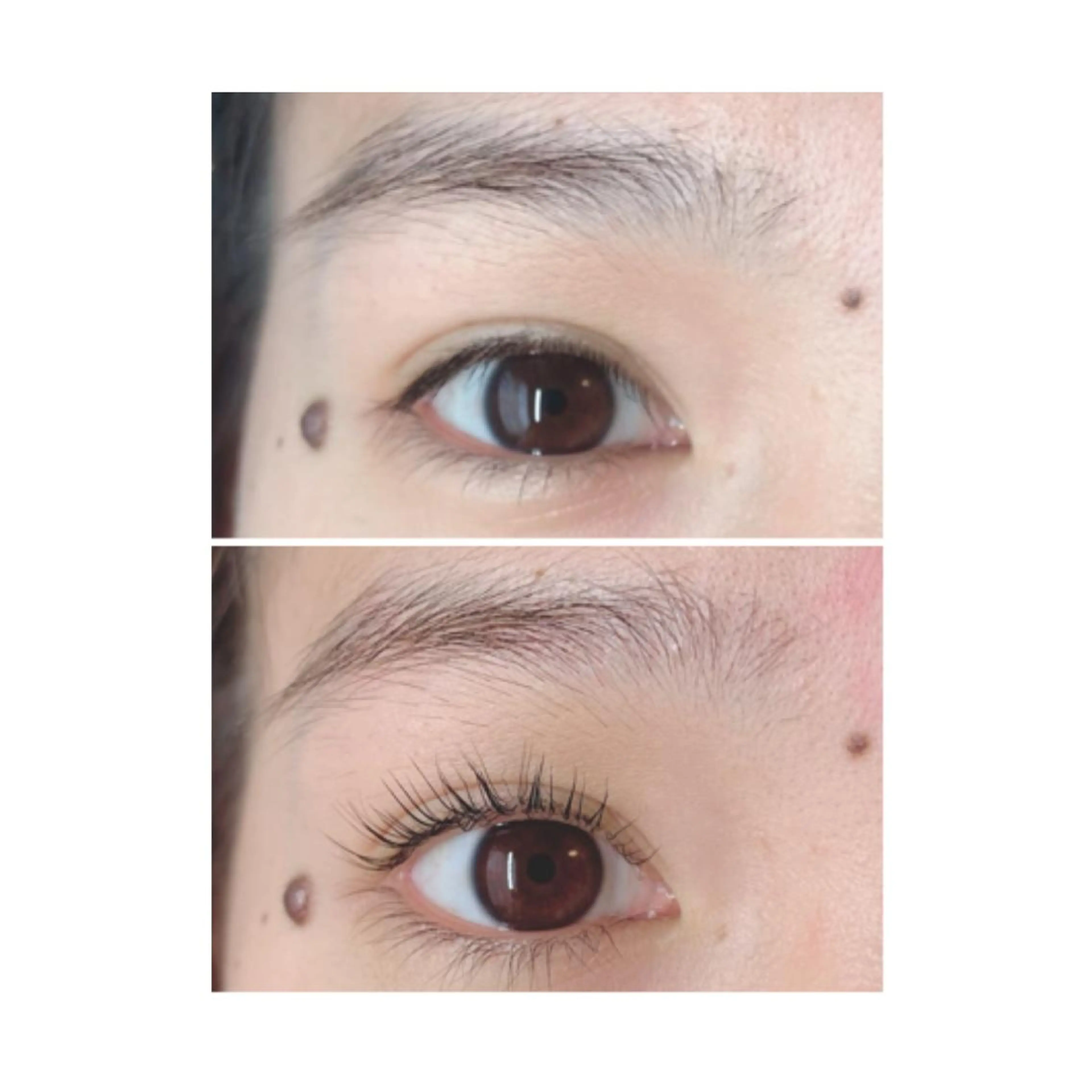 マツエク・マツパ パリジェンヌラッシュリフト Little River所属・Little Riverのマツエク・マツパデザイン