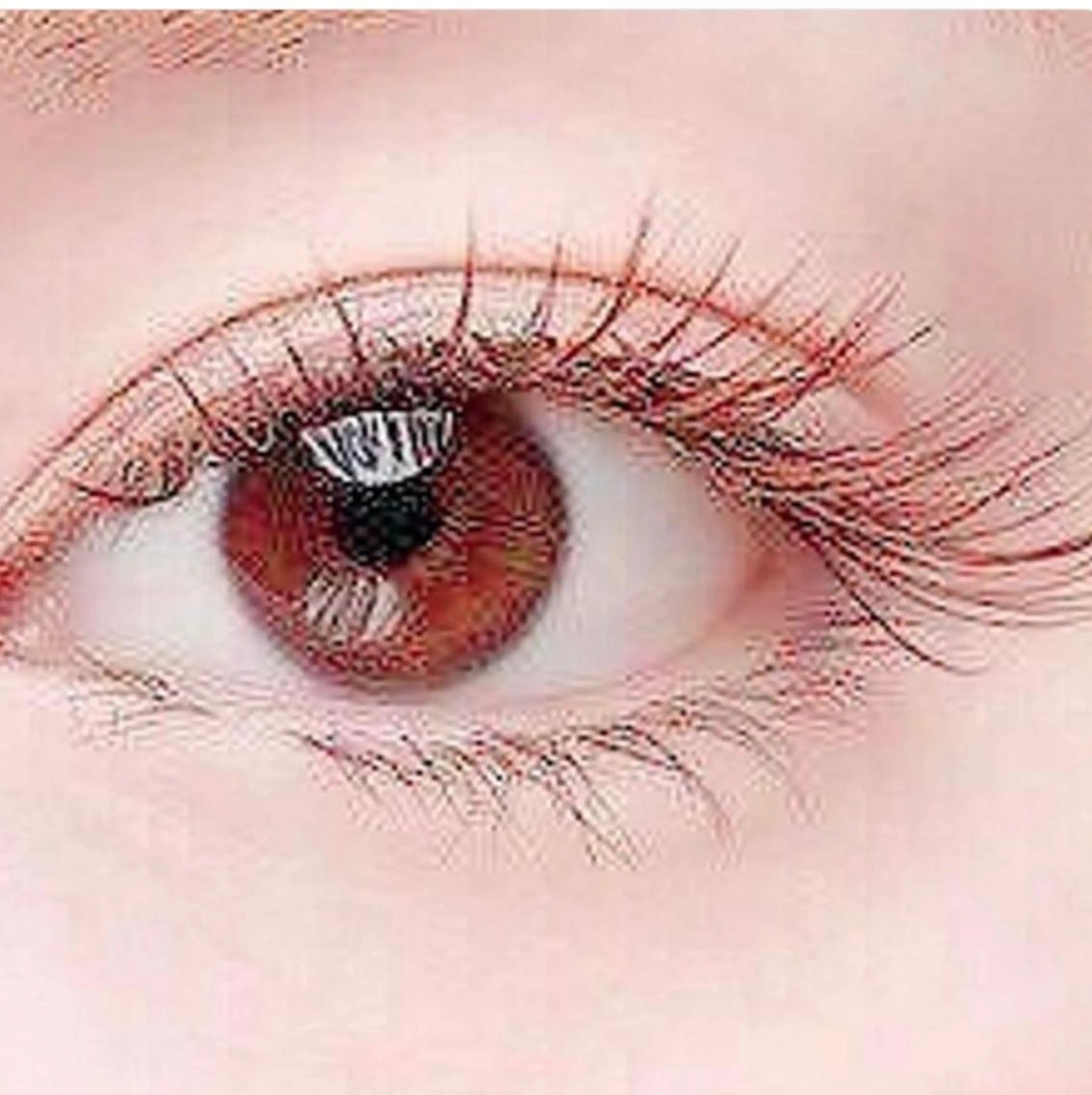 マツエク・マツパ 🌸Leviju桂店 店長Saki🌸のヘアスタイル