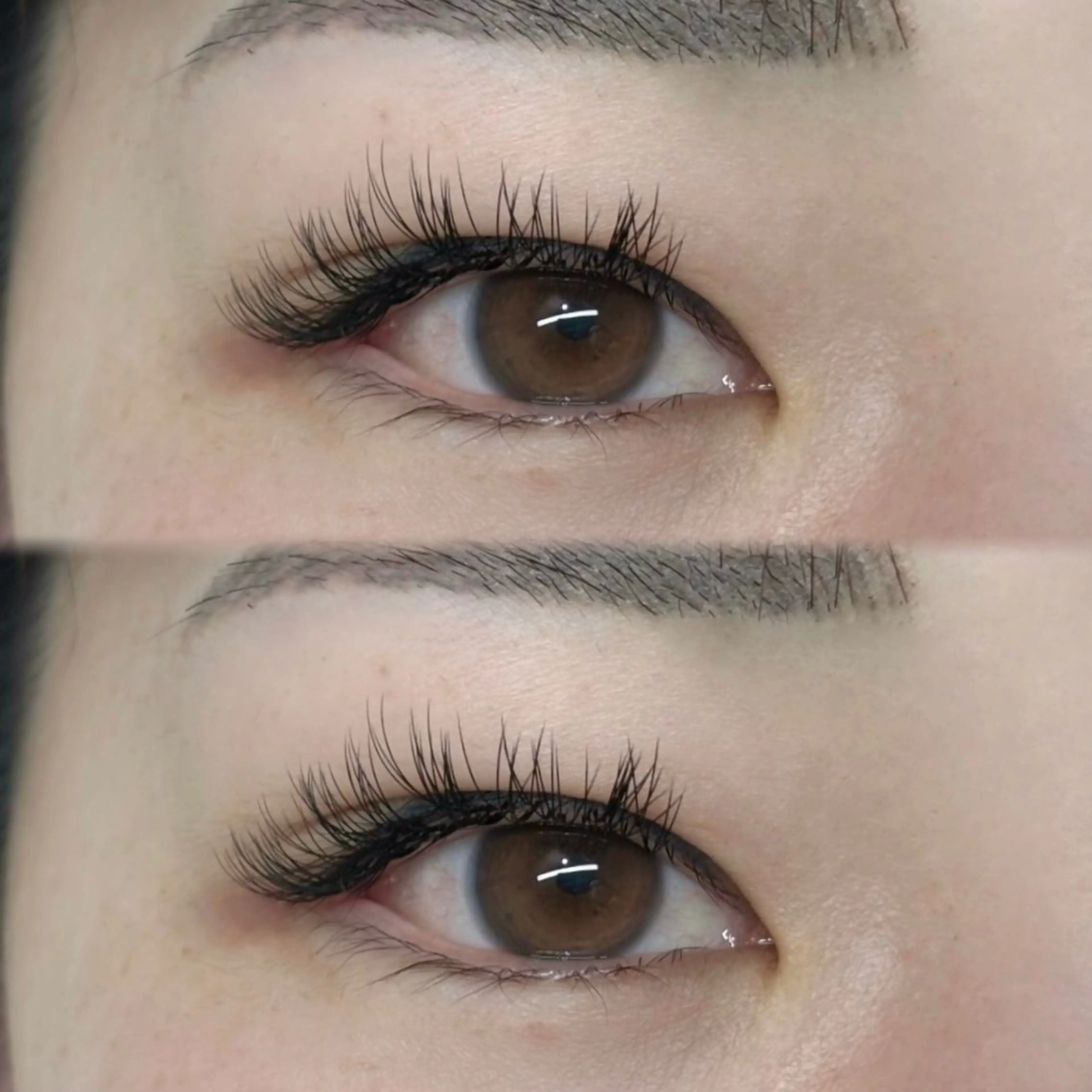 ダブルフラット100束(オフ込)🩶の写真