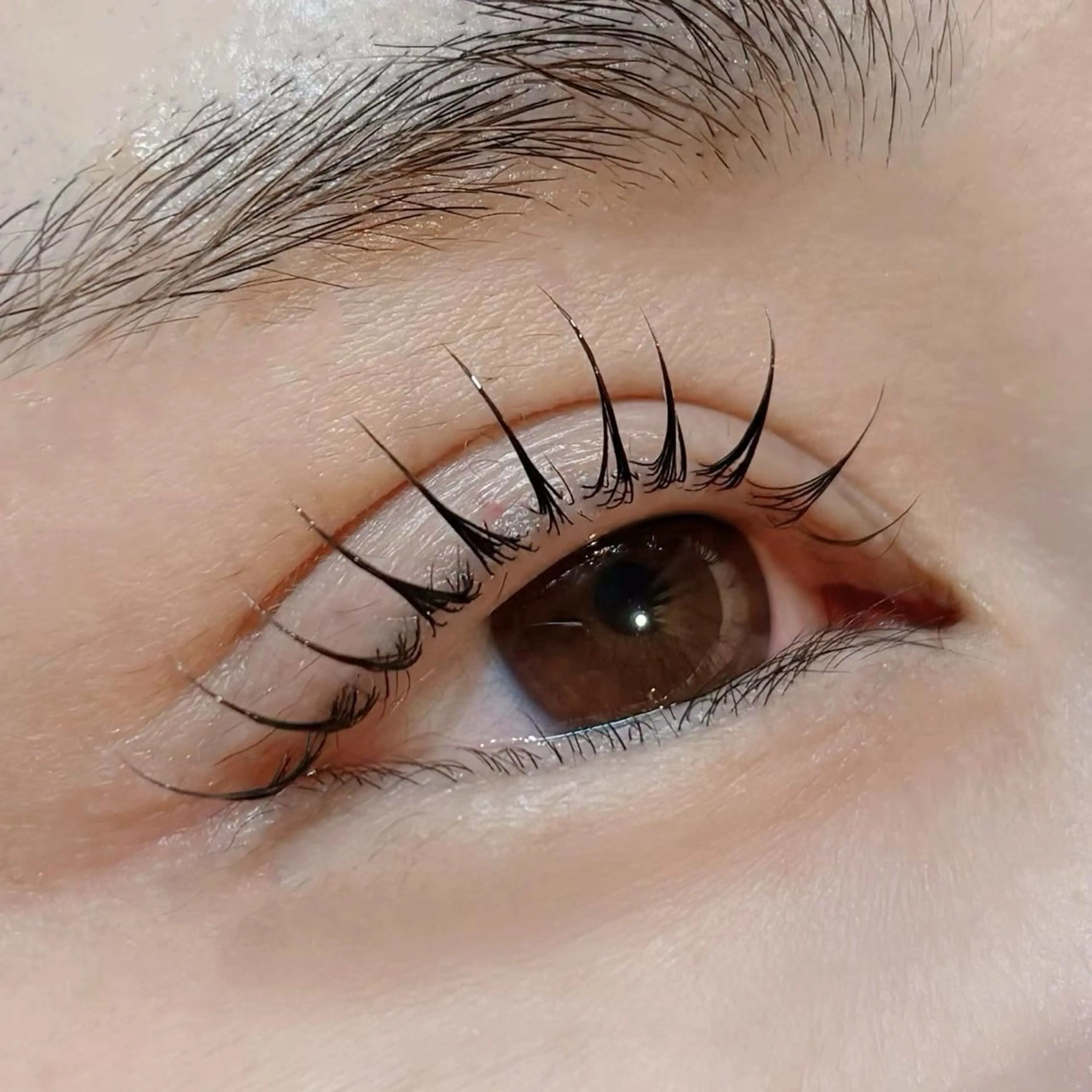 マツエク・マツパ 一重×まつ毛パーマ TOPBROW天王寺店所属・topbrow / moe🦙♡のマツエク・マツパデザイン