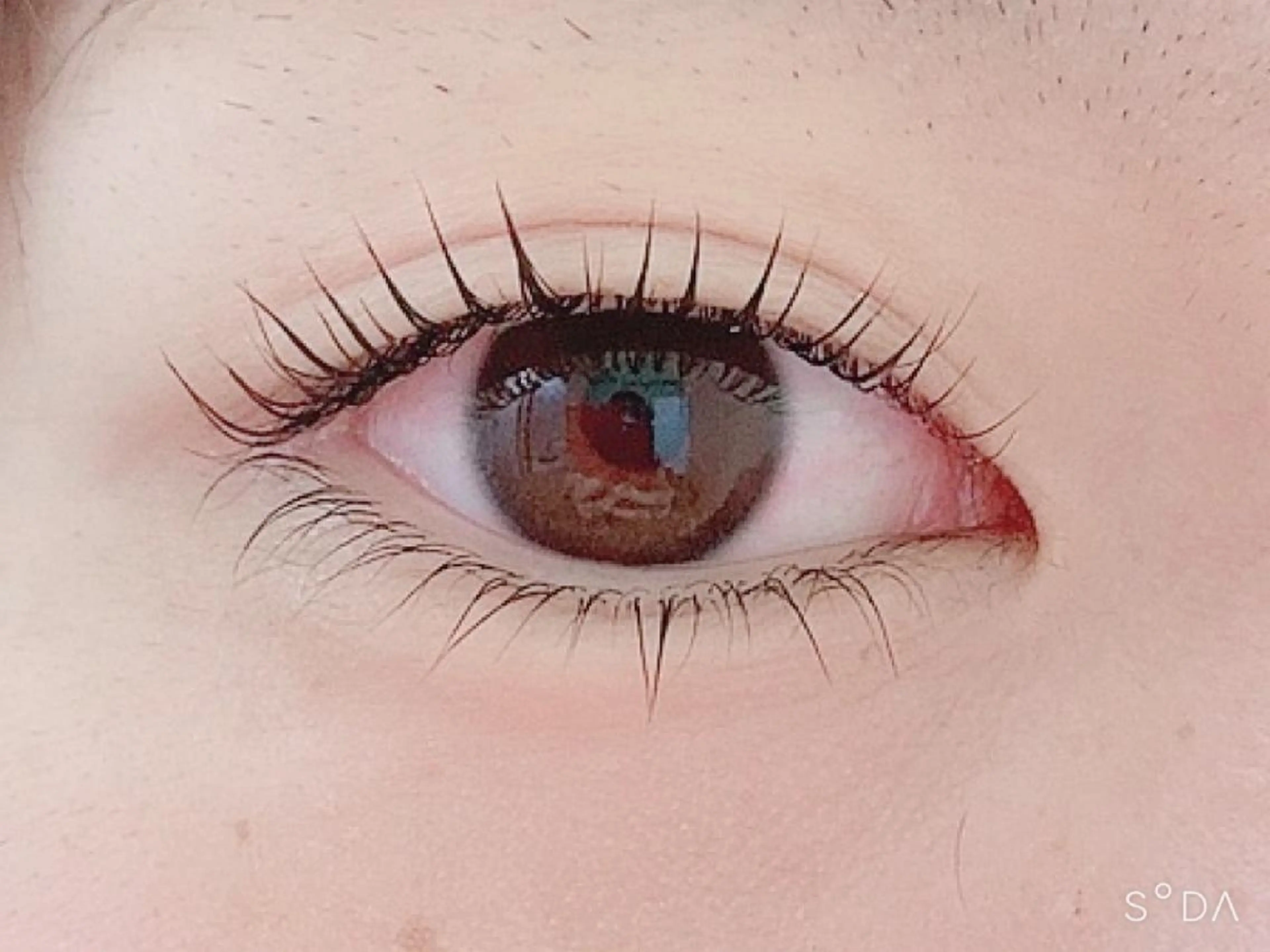 マツエク・マツパ マツパ トレヴァーデルチザン inuiのマツエク・マツパデザイン