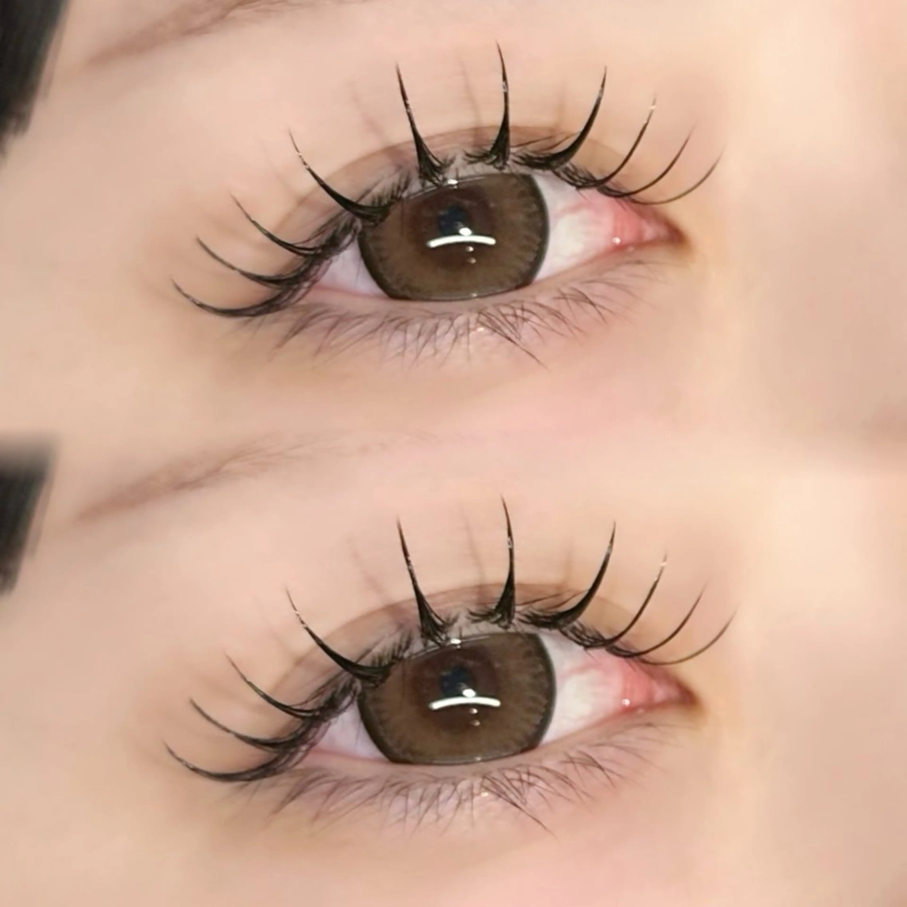 マツエク・マツパ マツエク EYELA熊本 YUIのマツエク・マツパデザイン