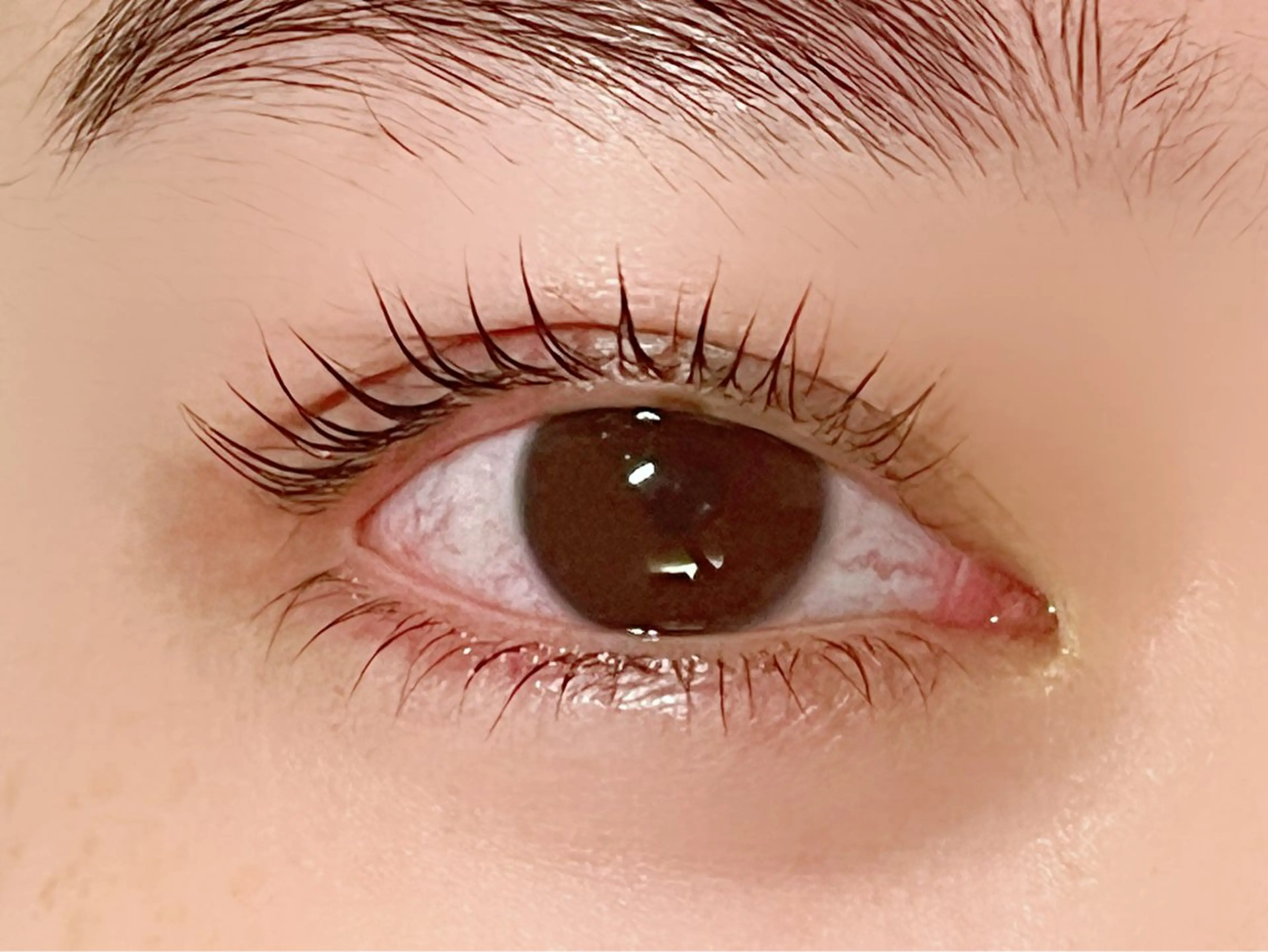 マツエク・マツパ マツパ Rinto/ makoの眉毛・アイブロウイメージ