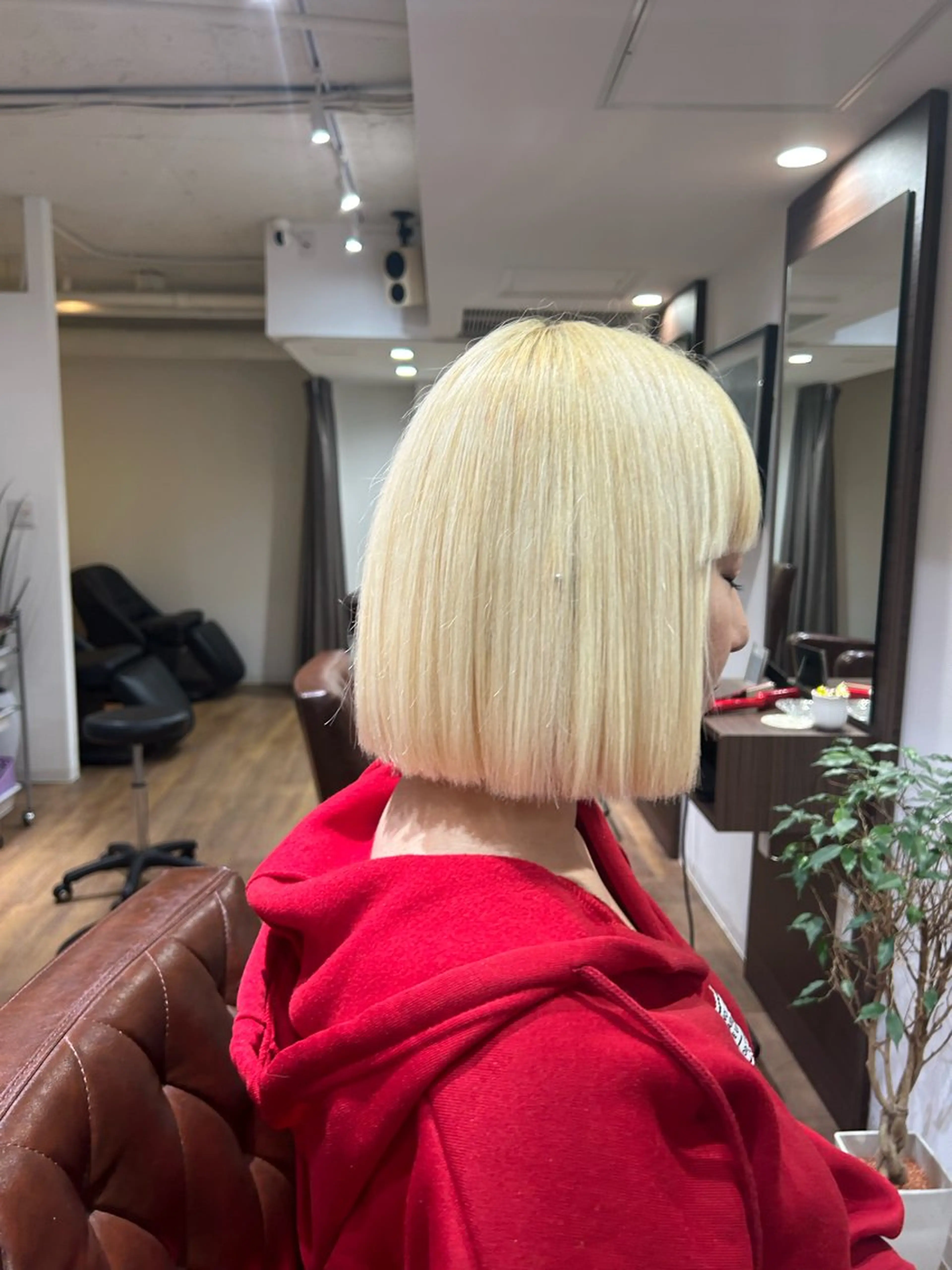 カット+ケアブリーチダブルカラー+3stepトリートメントの写真