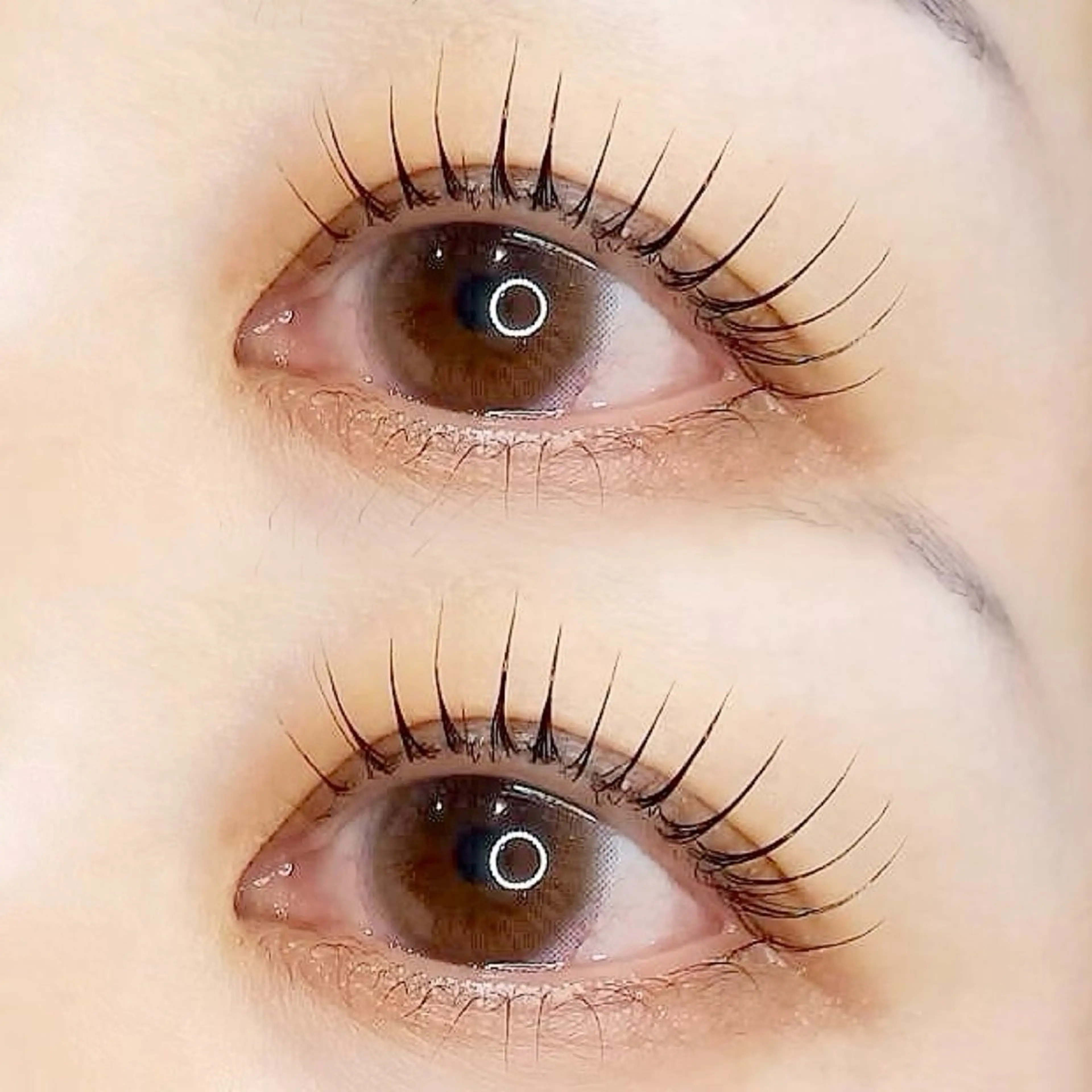 マツエク・マツパ 🌿emu.🌕 by Museeのマツエク・マツパデザイン