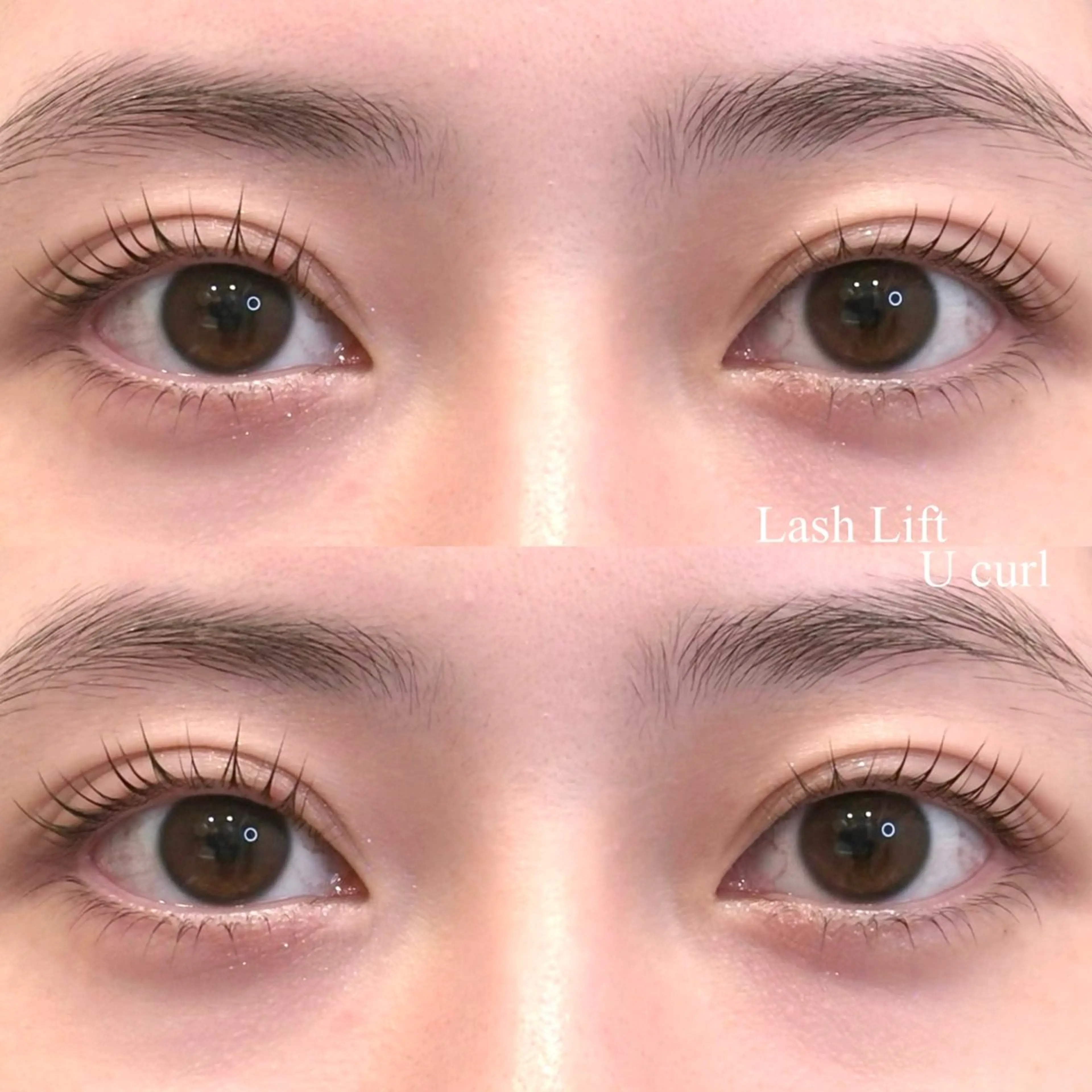 《ケラチントリートメント付き💠》🎀ラッシュリフト上下🎀の写真