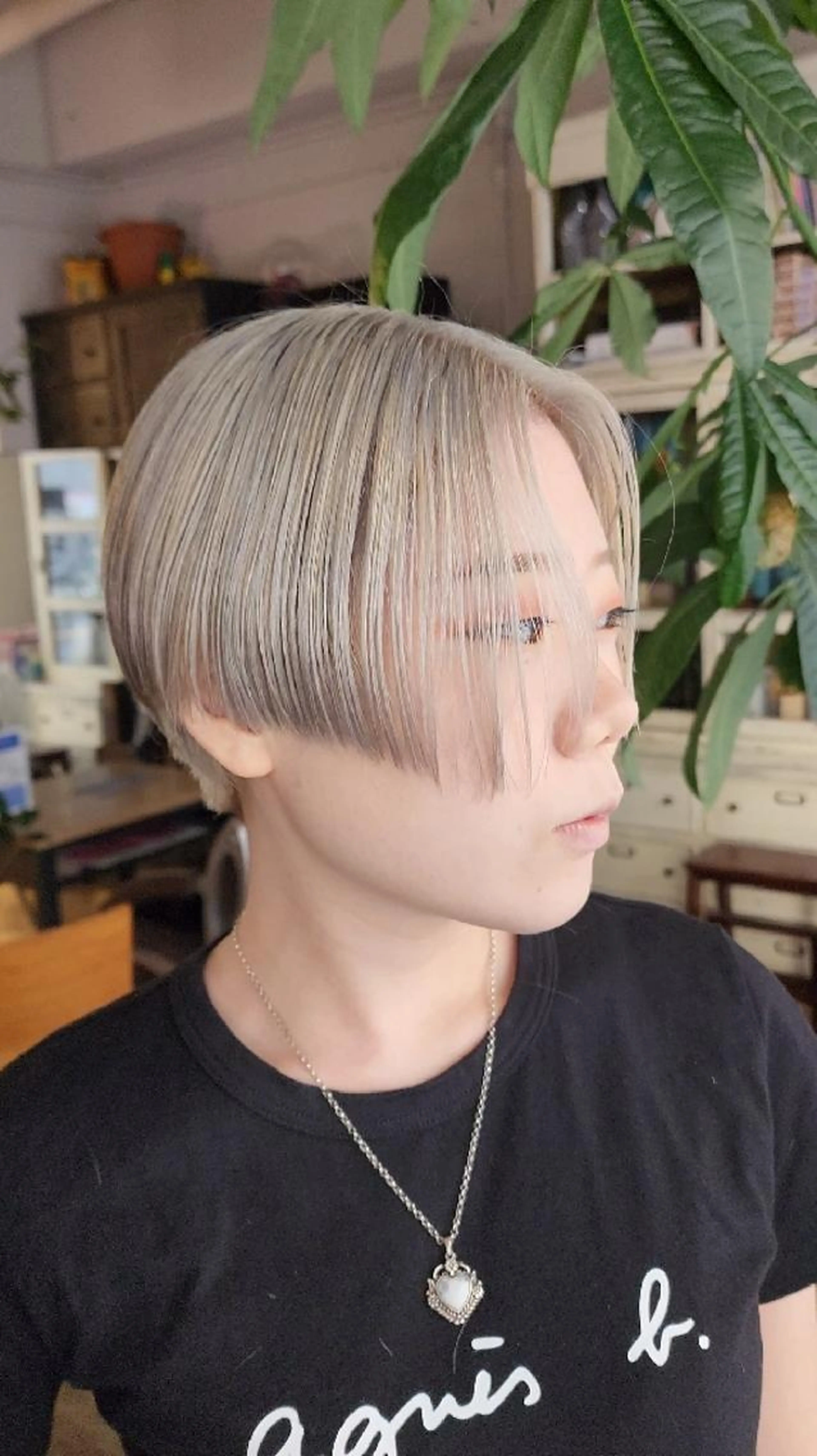 カットの写真
