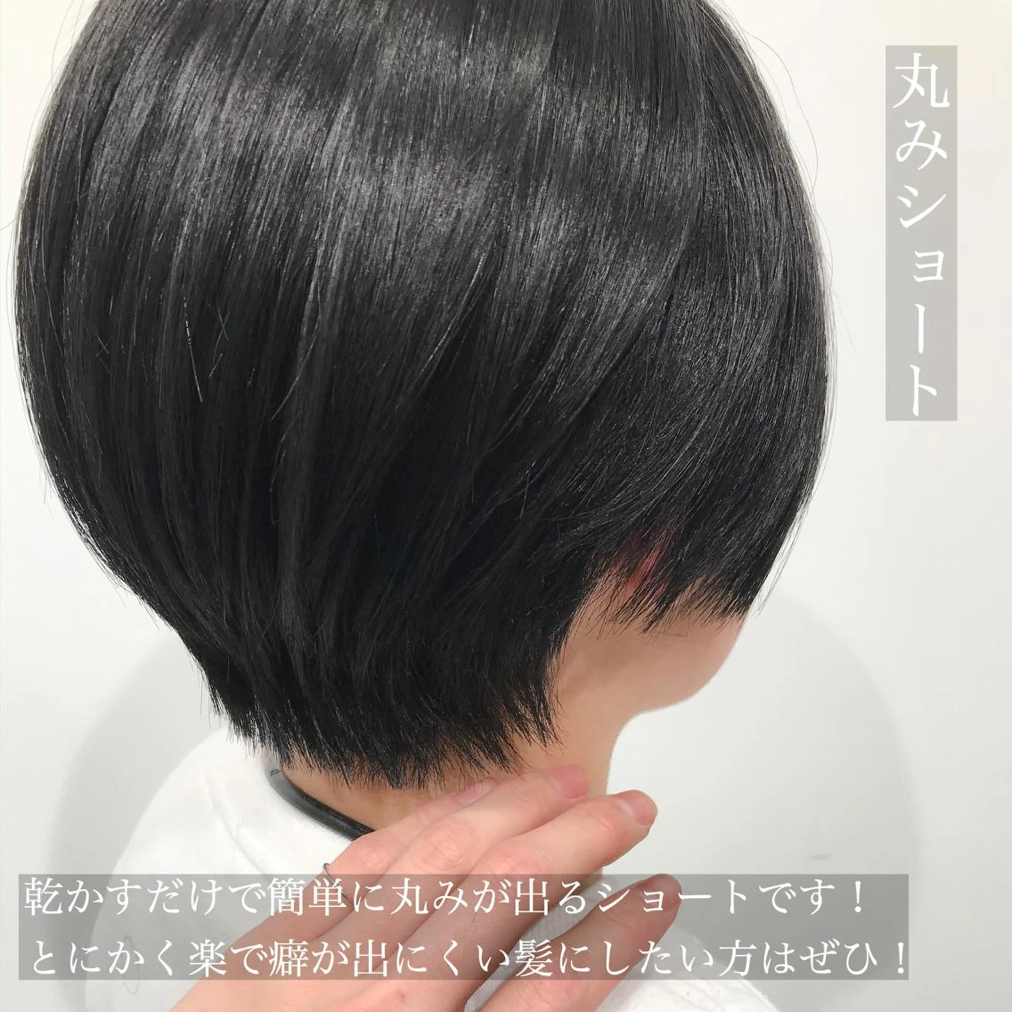 ショート カラー ショートヘア 特別モデル価格 タカシマイッセイのヘアスタイル