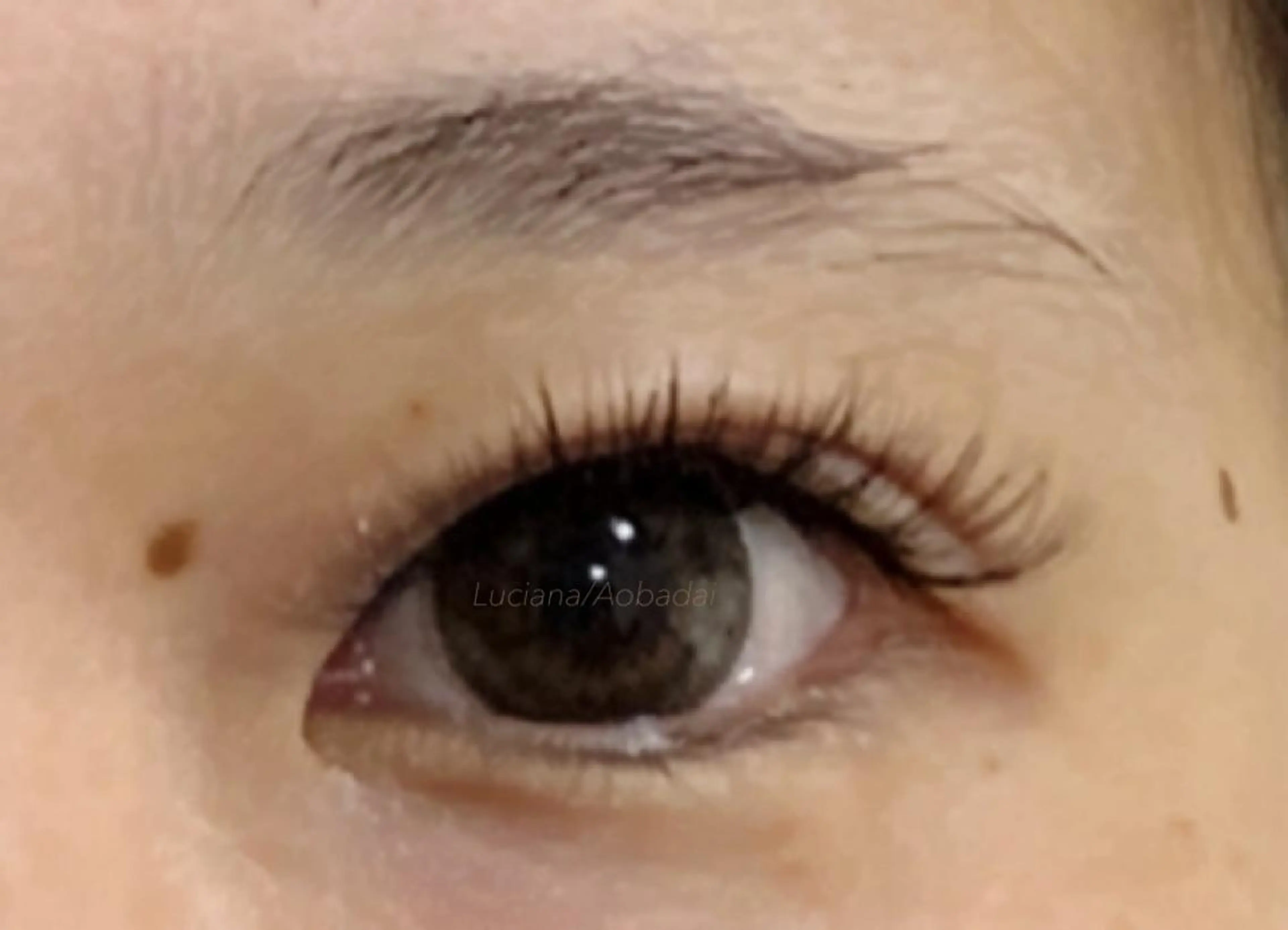 マツエク・マツパ ルチアーナ所属・白石 優茉のマツエク・マツパデザイン