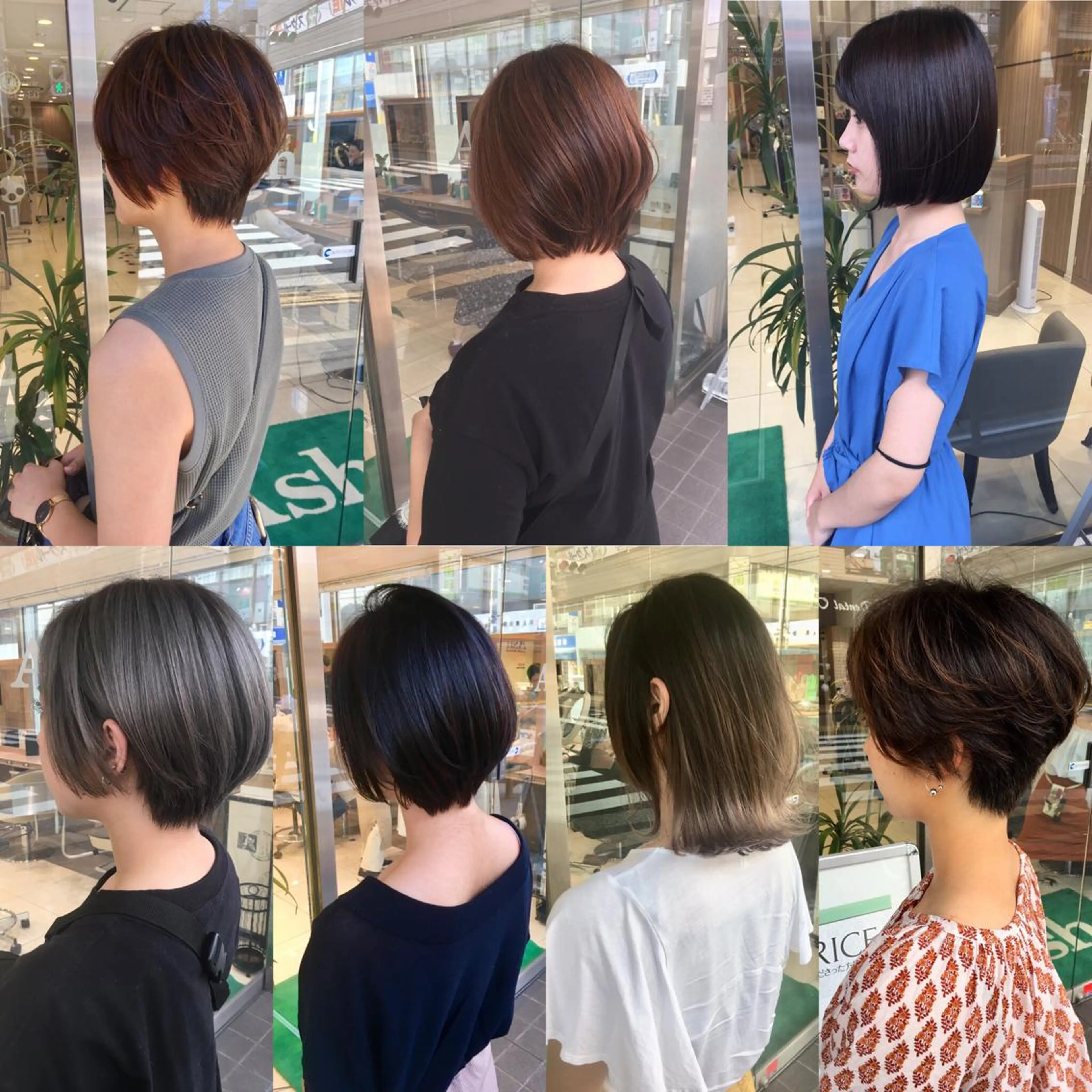 ショート 白髪染め特化美容師 /寺内紳悟のヘアスタイル