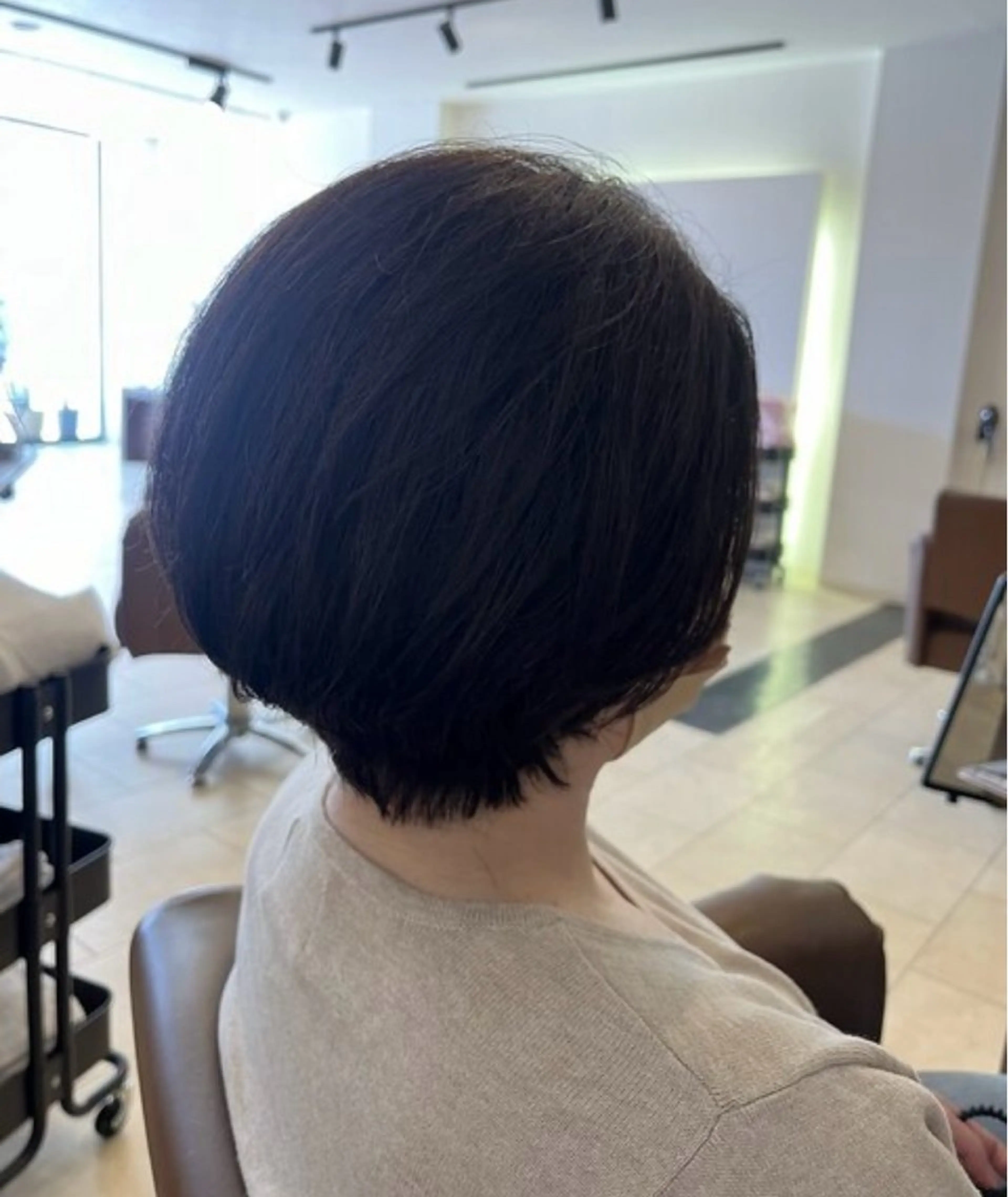 ショート カラー 泉川 みかのヘアスタイル