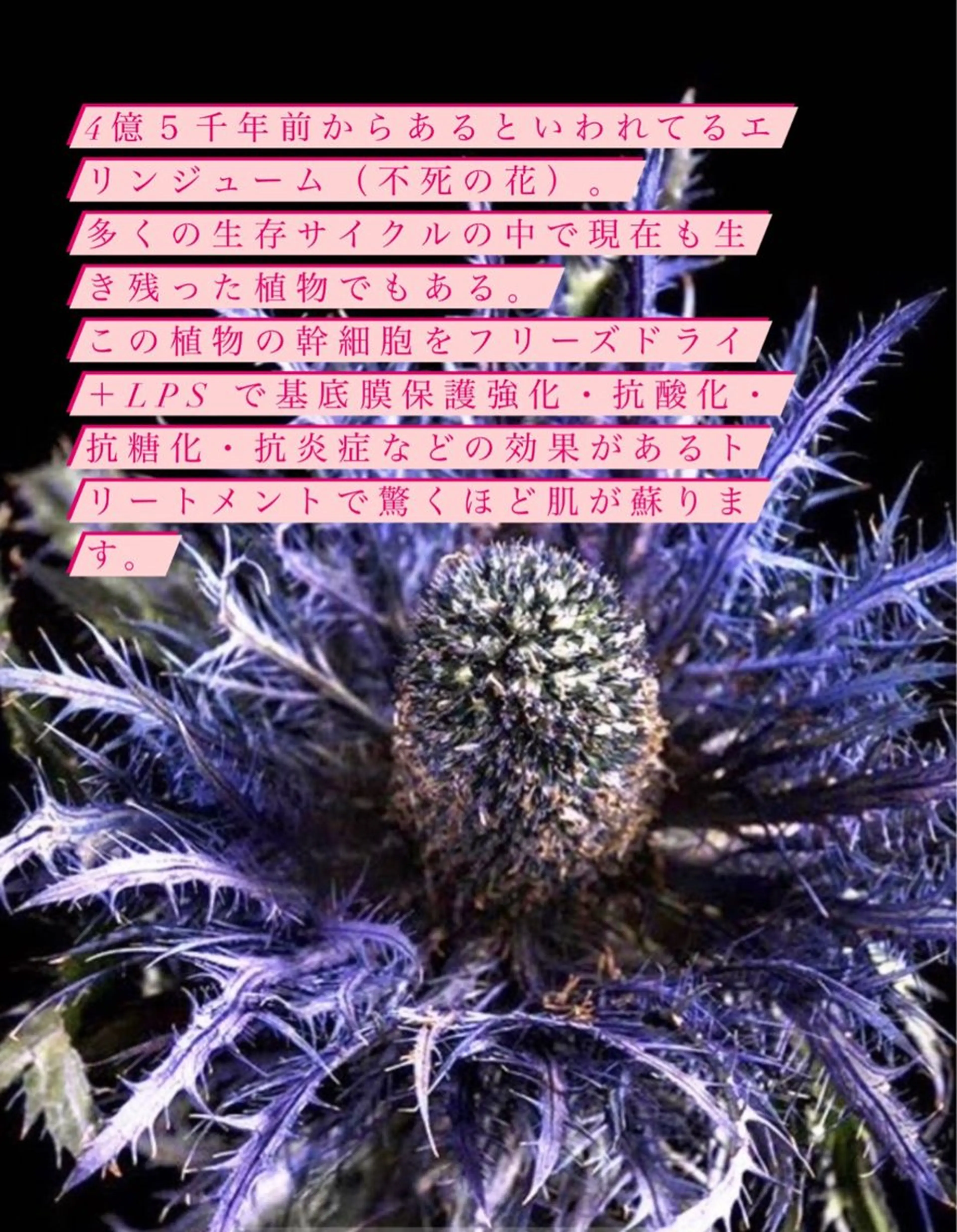 🅖🅤🅩🅔🅛 salonのエステ・リラクイメージ