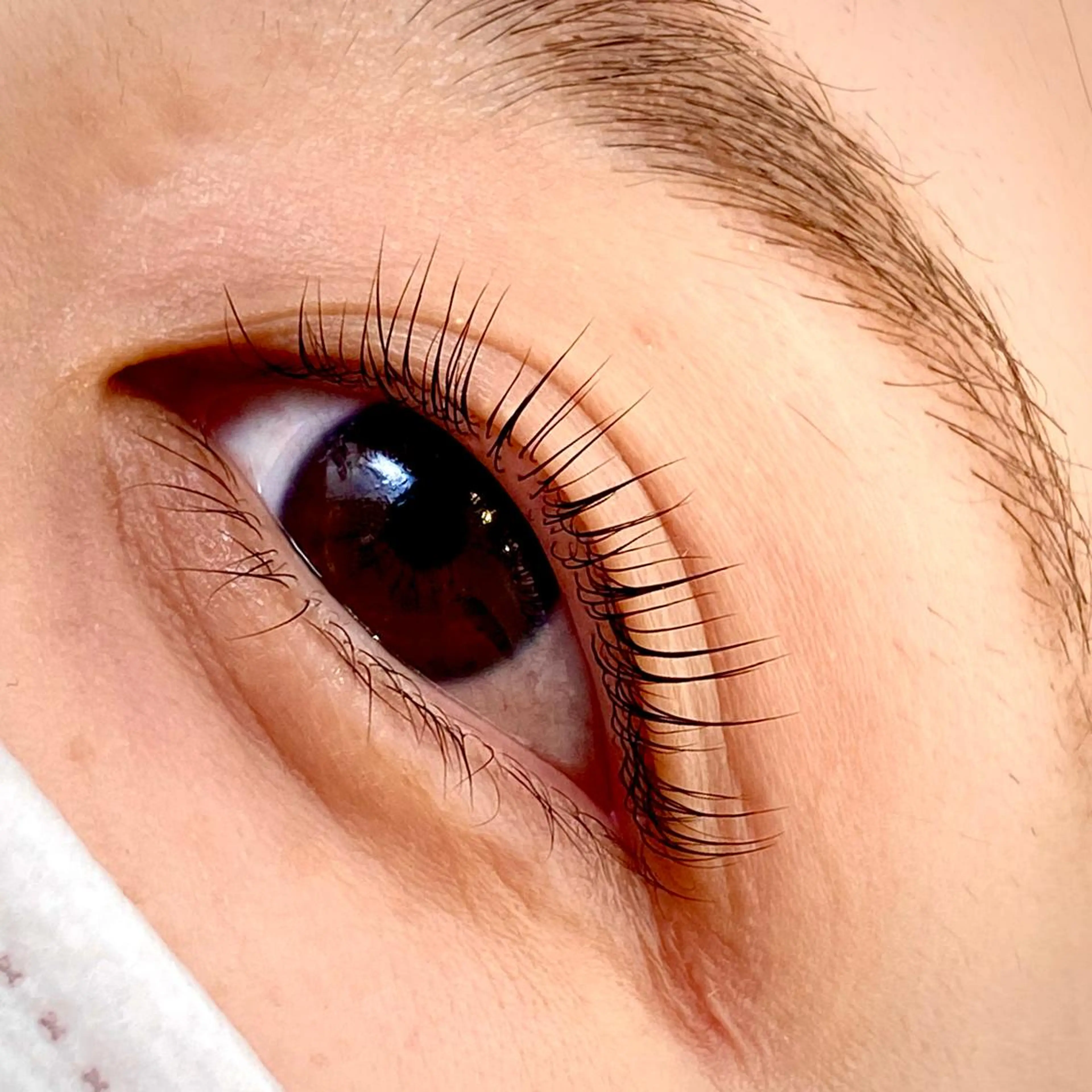 マツエク・マツパ chatran ishimochiのマツエク・マツパデザイン