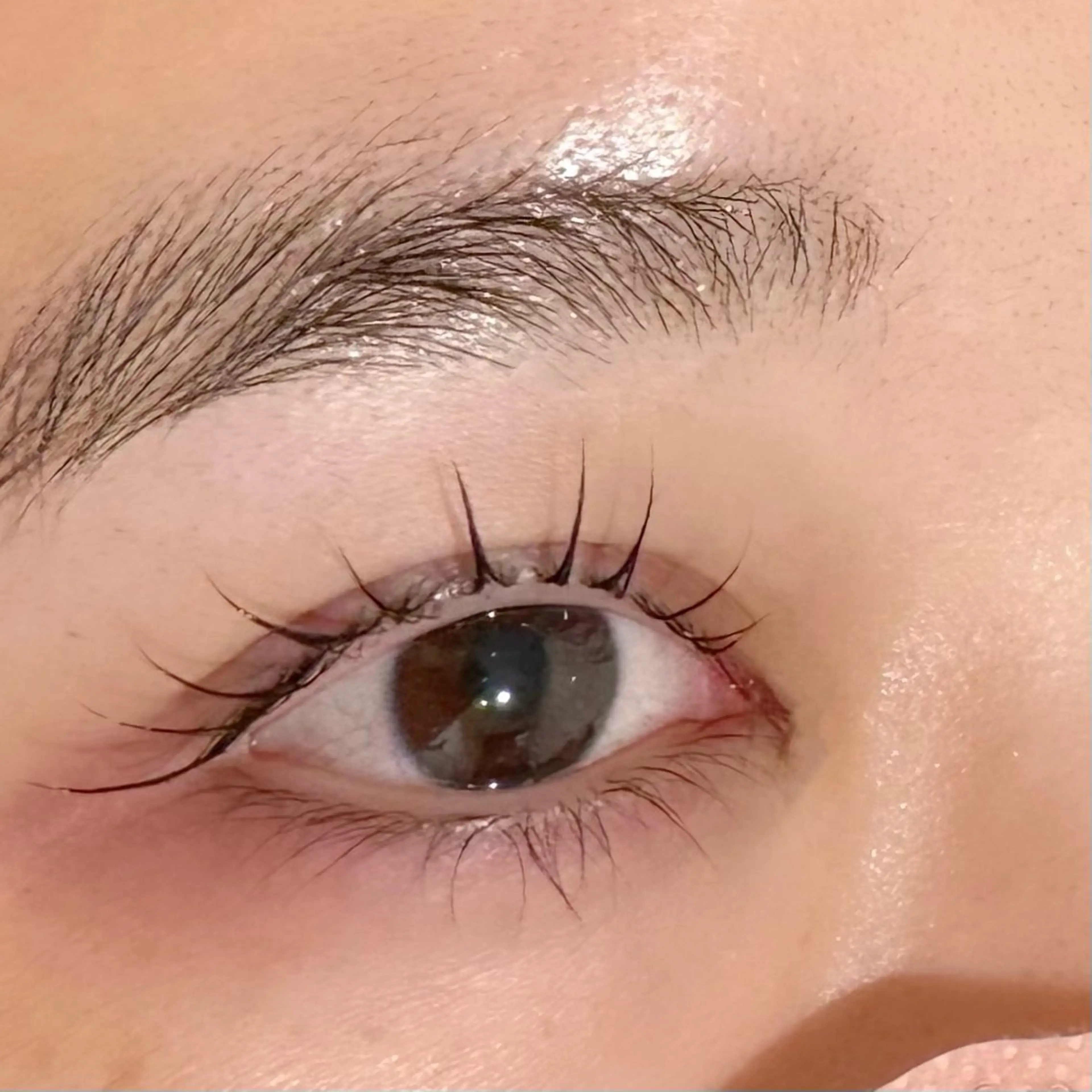 \残り1名!/ 4/28(月)12:00開始 13:00終了(施術時間60分)🫧パリジェンヌ・まつげパーマモデル🫧の写真