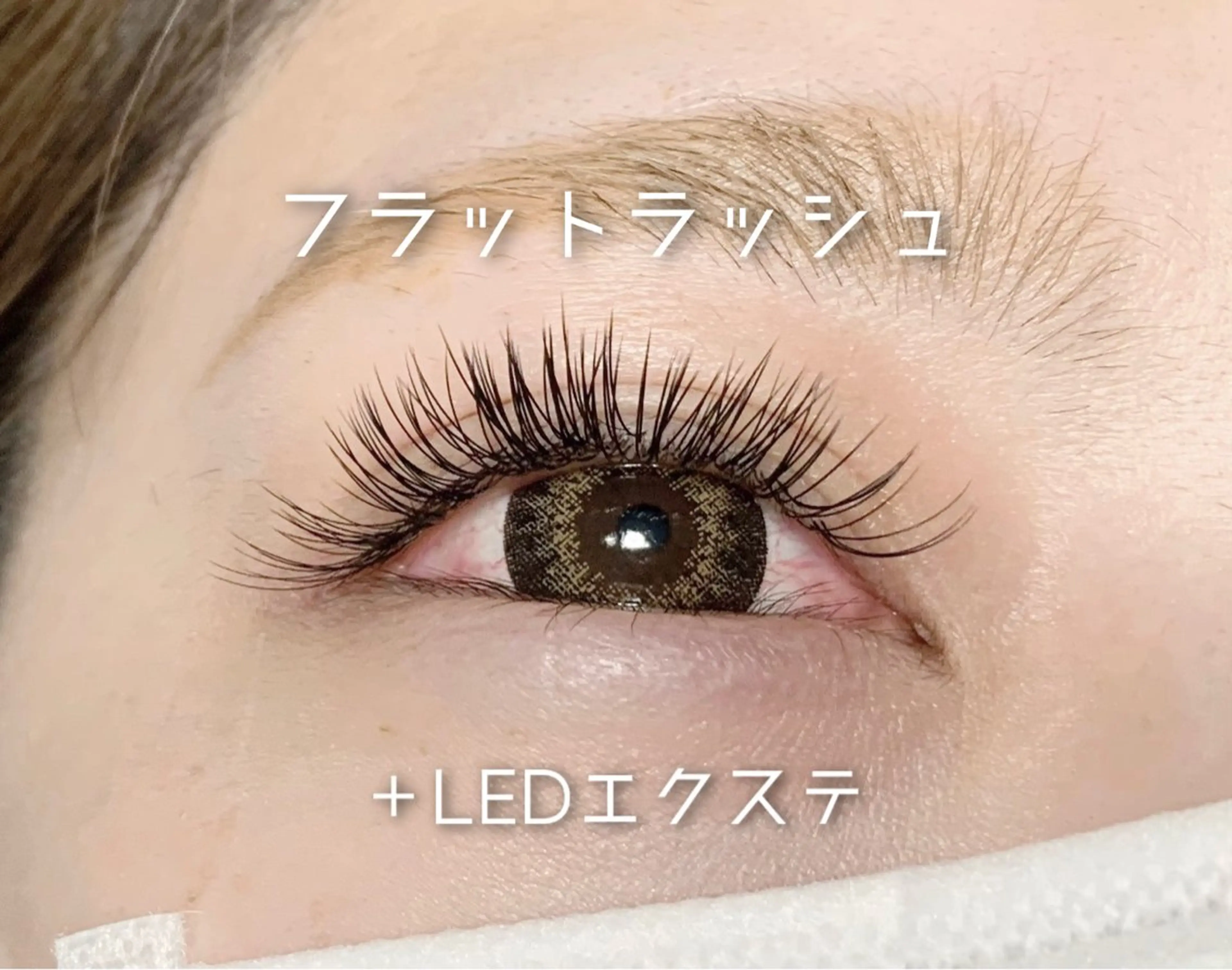 【LED】フラットラッシュ付け放題（アイシャンプー付き！）の写真