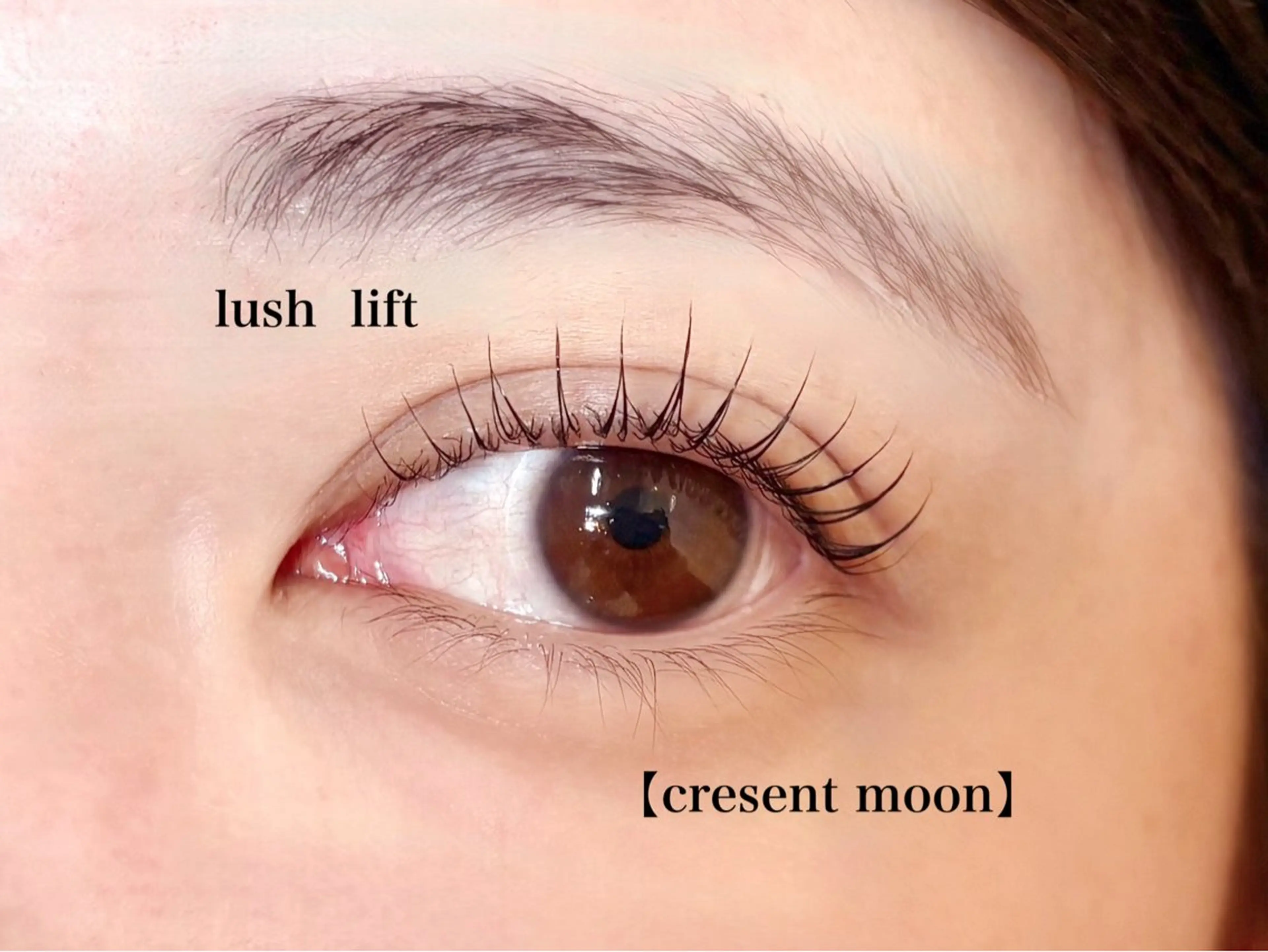 マツエク・マツパ マツパ eight eye アンナのマツエク・マツパデザイン