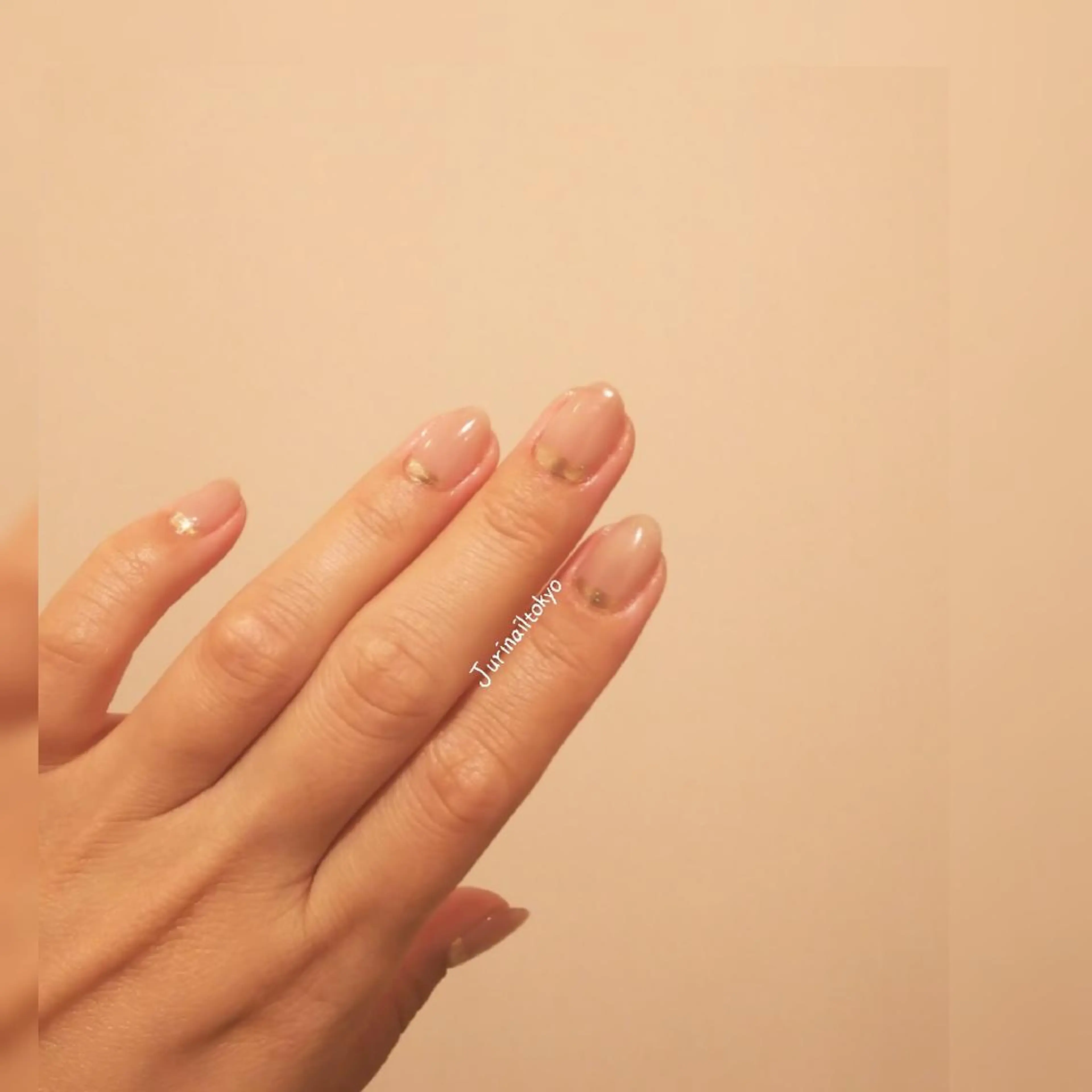 ネイル クリアネイル 韓国ネイル マグネットネイル ニュアンスネイル シンプルネイル jurinailtokyo所属・jurinail tokyoのネイルデザイン