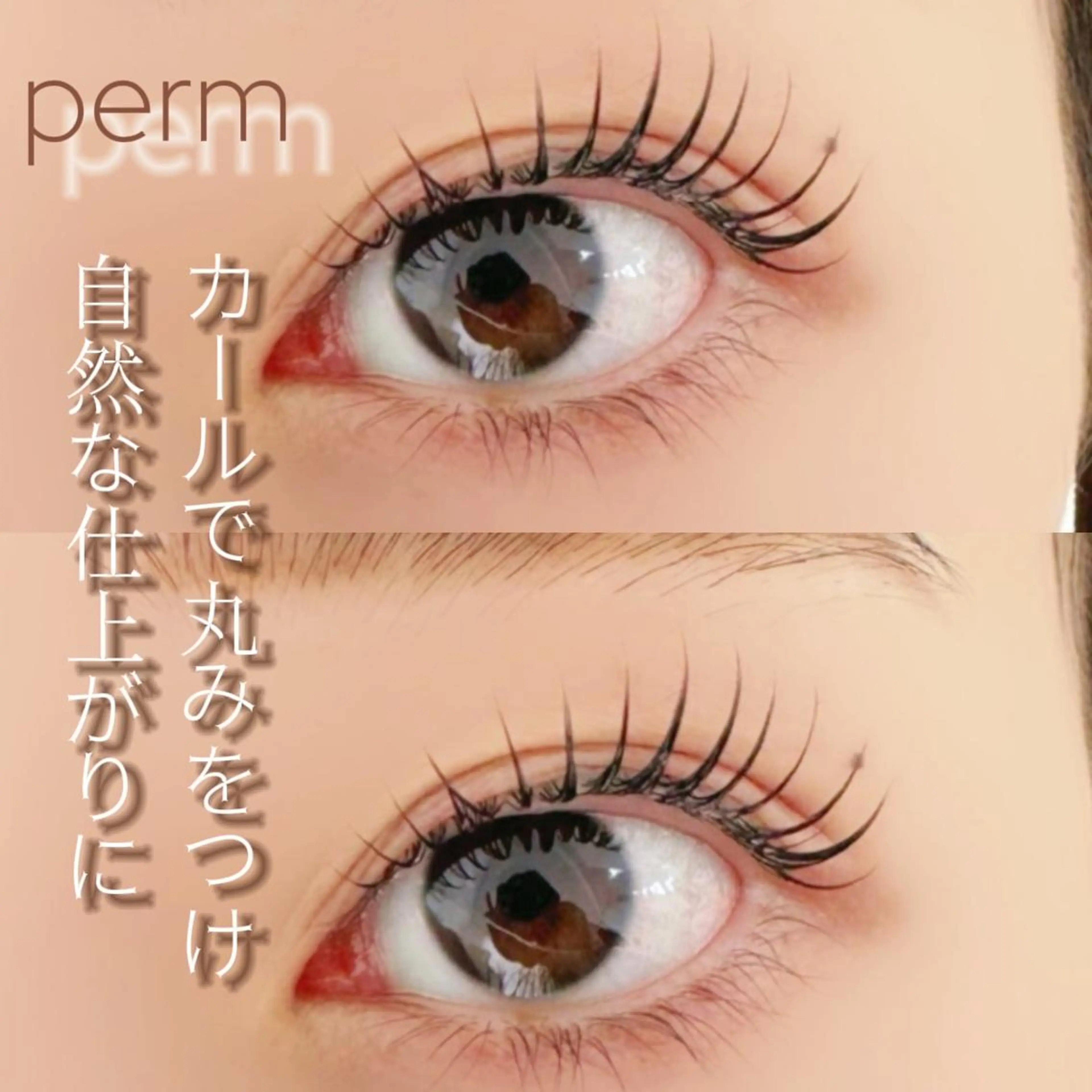 🎀まつ毛パーマ🎀<コーティング付き>¥4800の写真