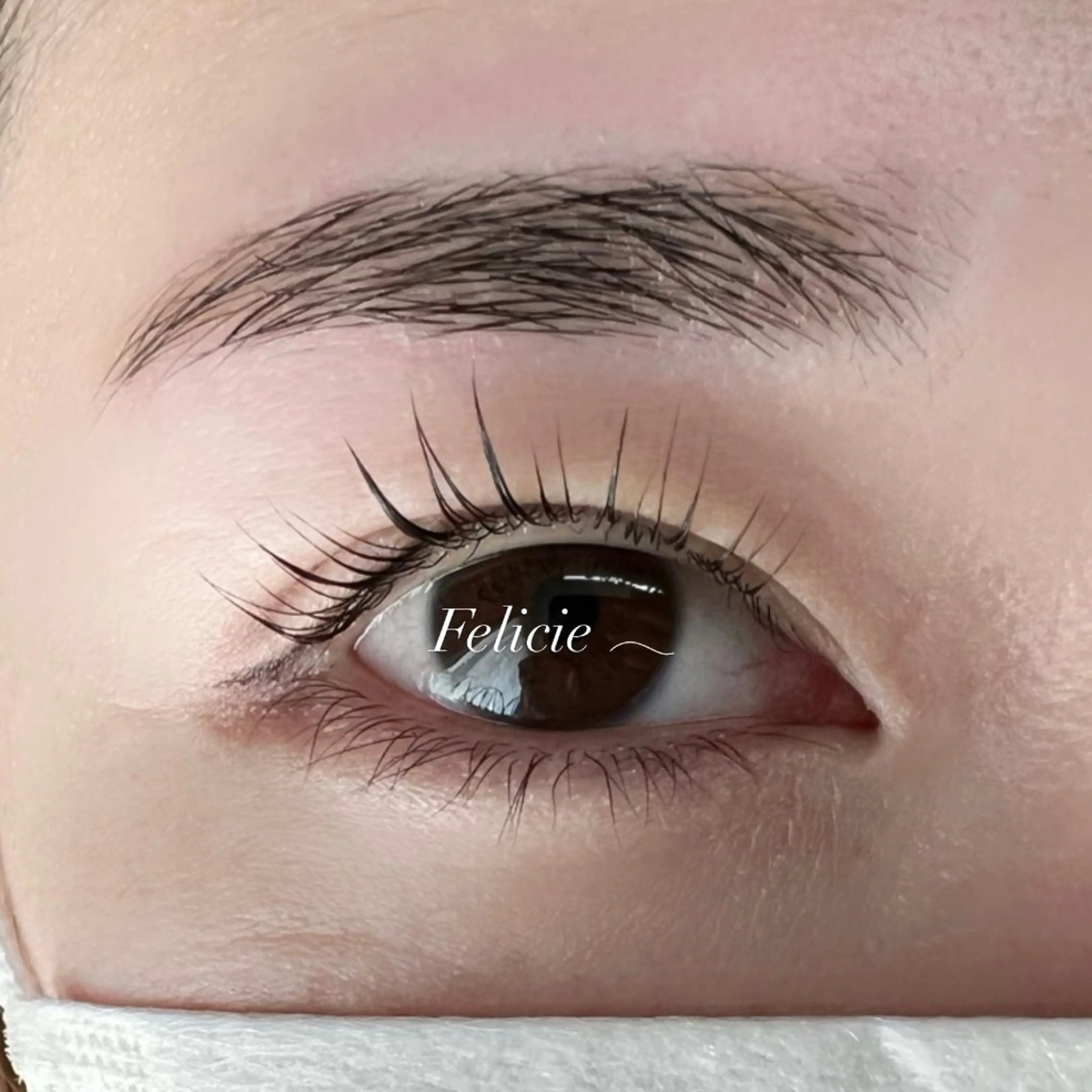 マツエク・マツパ パリジェンヌラッシュリフト ワックス脱毛 眉カット その他(アイブロウ) Felicie＊ Sayakaのマツエク・マツパデザイン