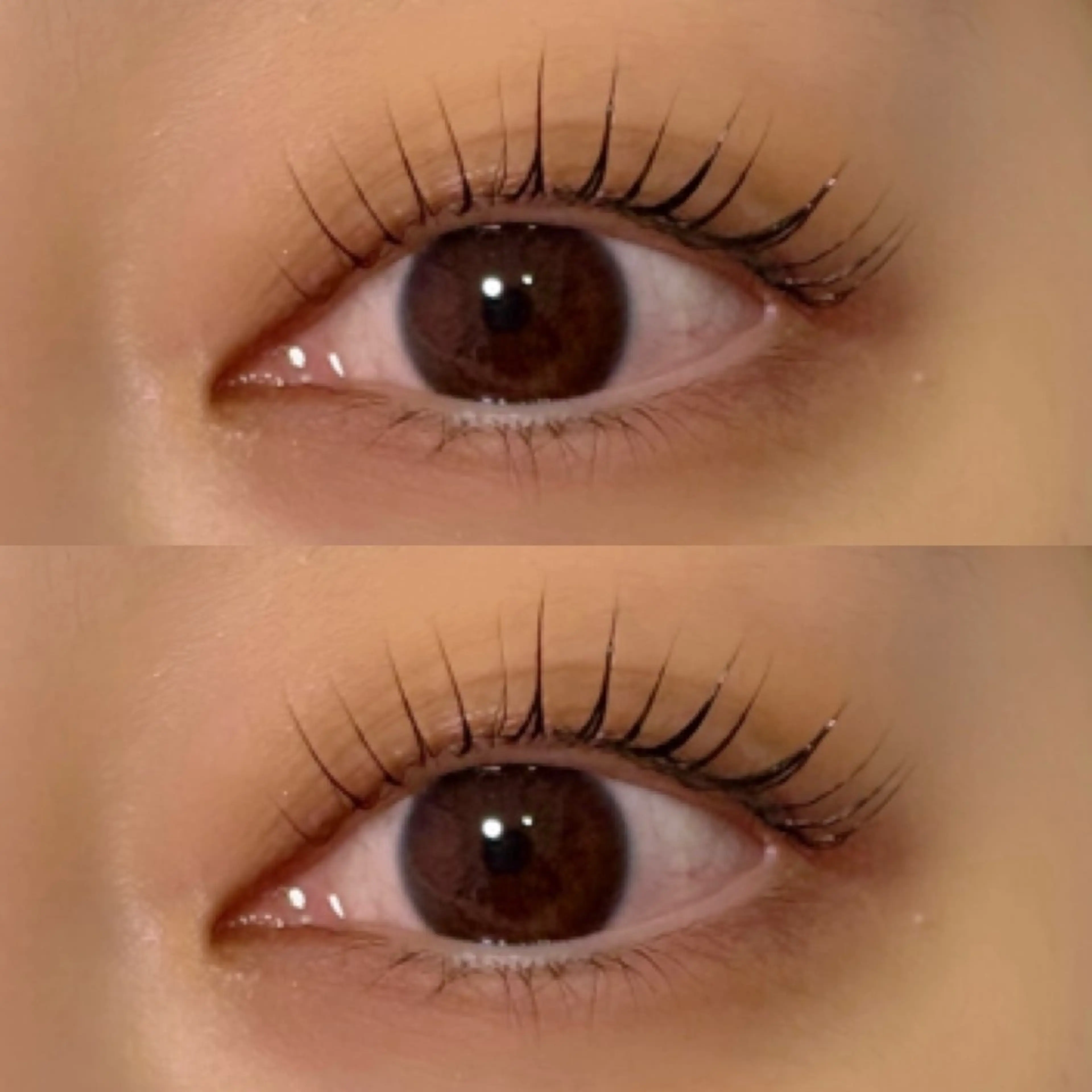 マツエク・マツパ パリジェンヌラッシュリフト マツパ 白山 飛鳥のマツエク・マツパデザイン