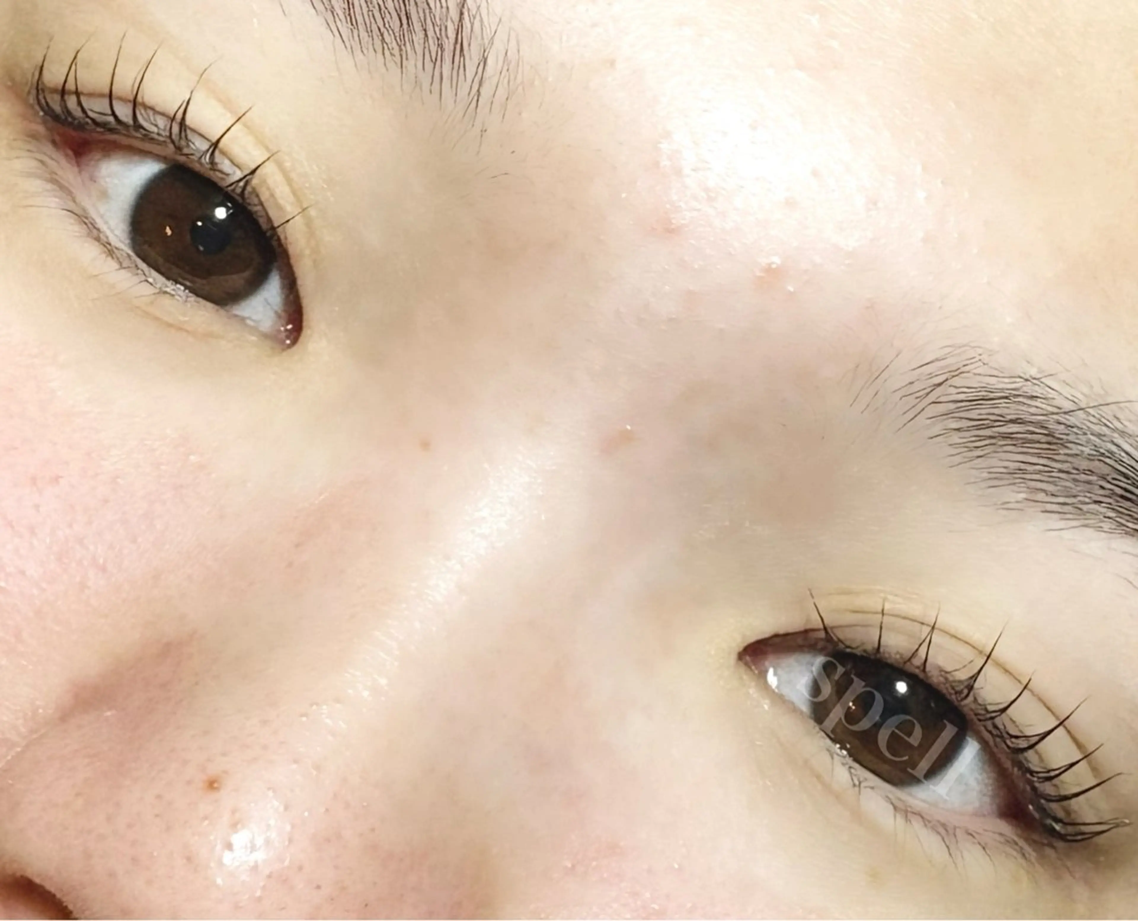 マツエク・マツパ マツパ spell_eyelash所属・spell eyelashのマツエク・マツパデザイン