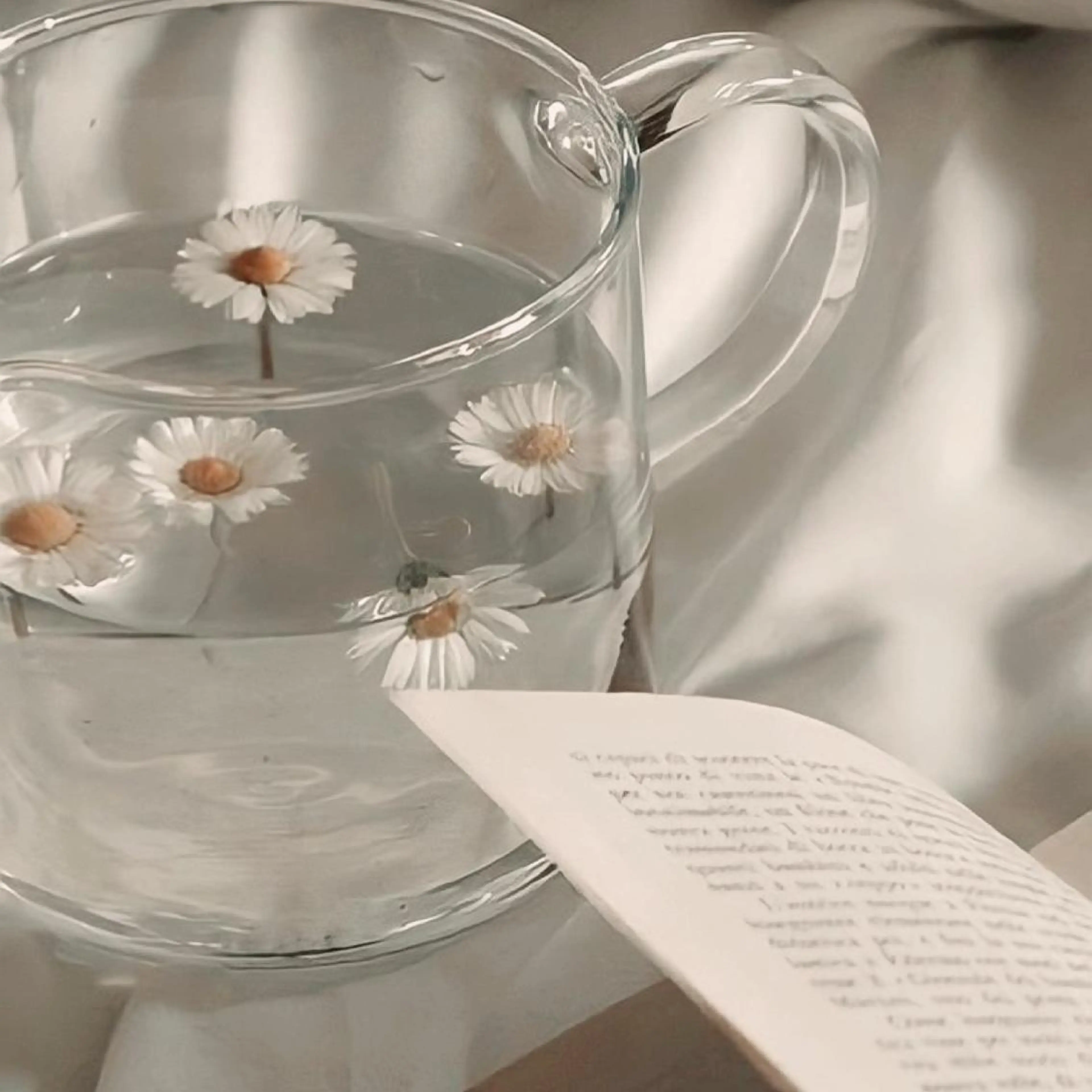 ネイル nicolenail /emureのネイルデザイン