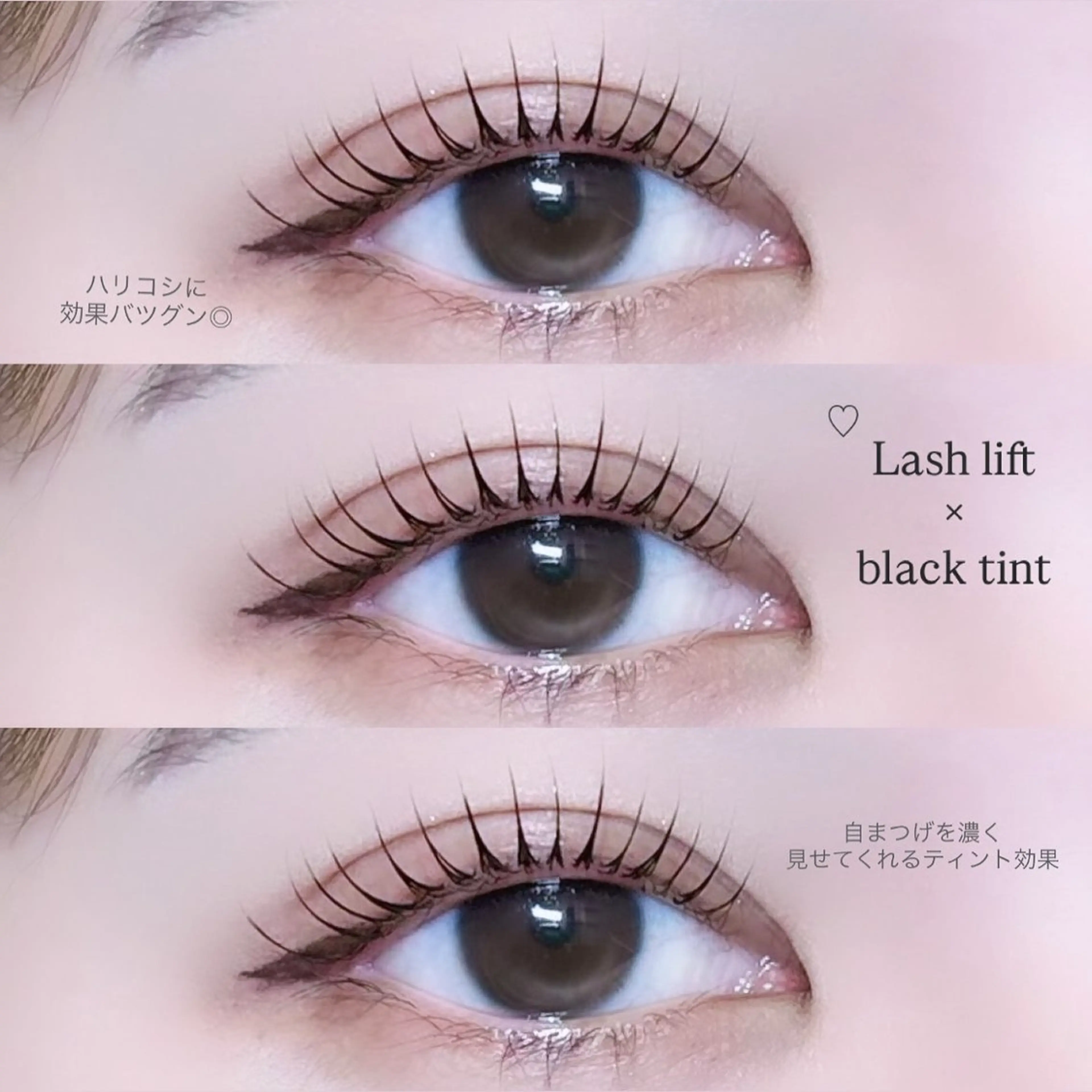 大人気ブラックティント付🖤似合わせラッシュリフトの写真