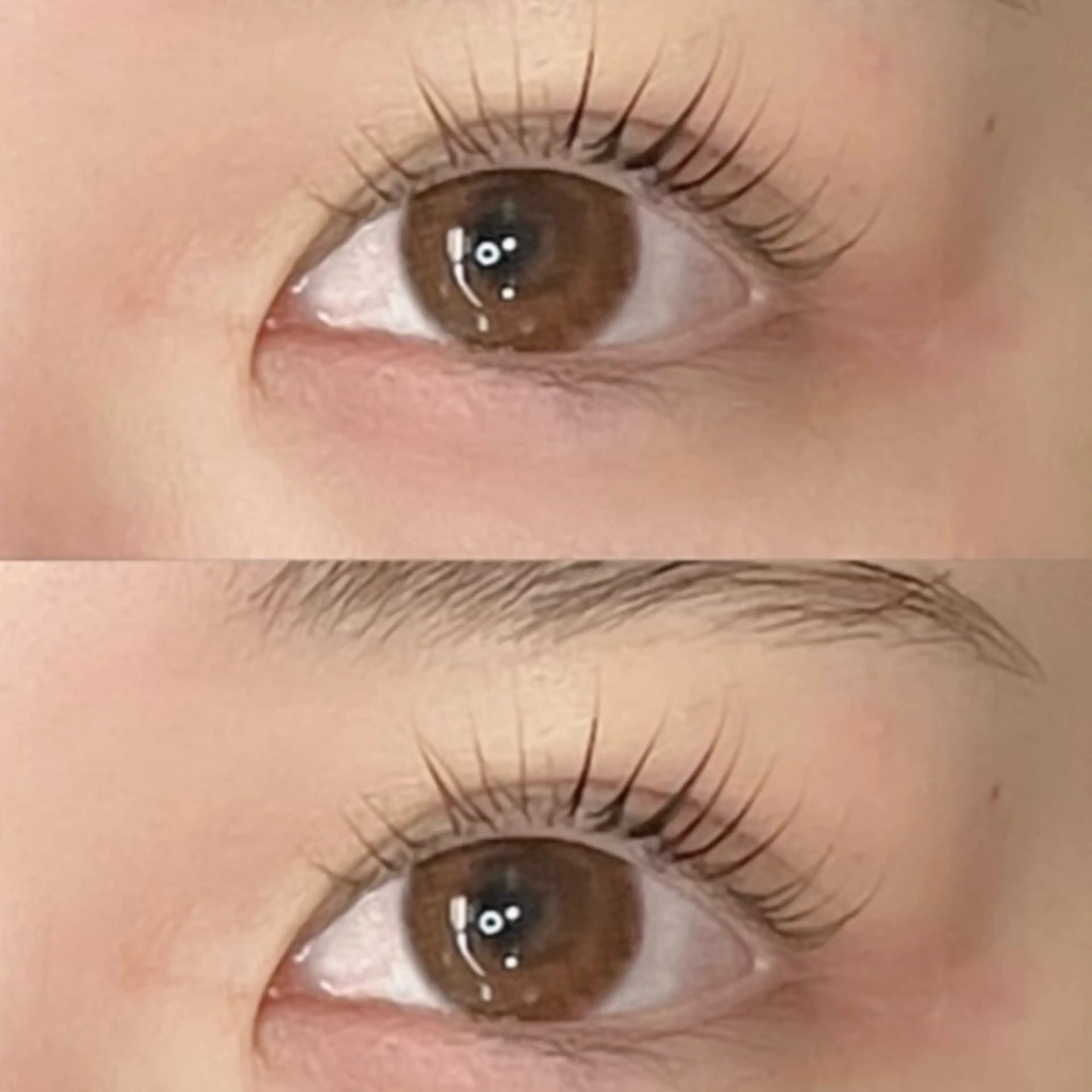 マツエク・マツパ まつげパーマ マツパ Blossom 松木のマツエク・マツパデザイン