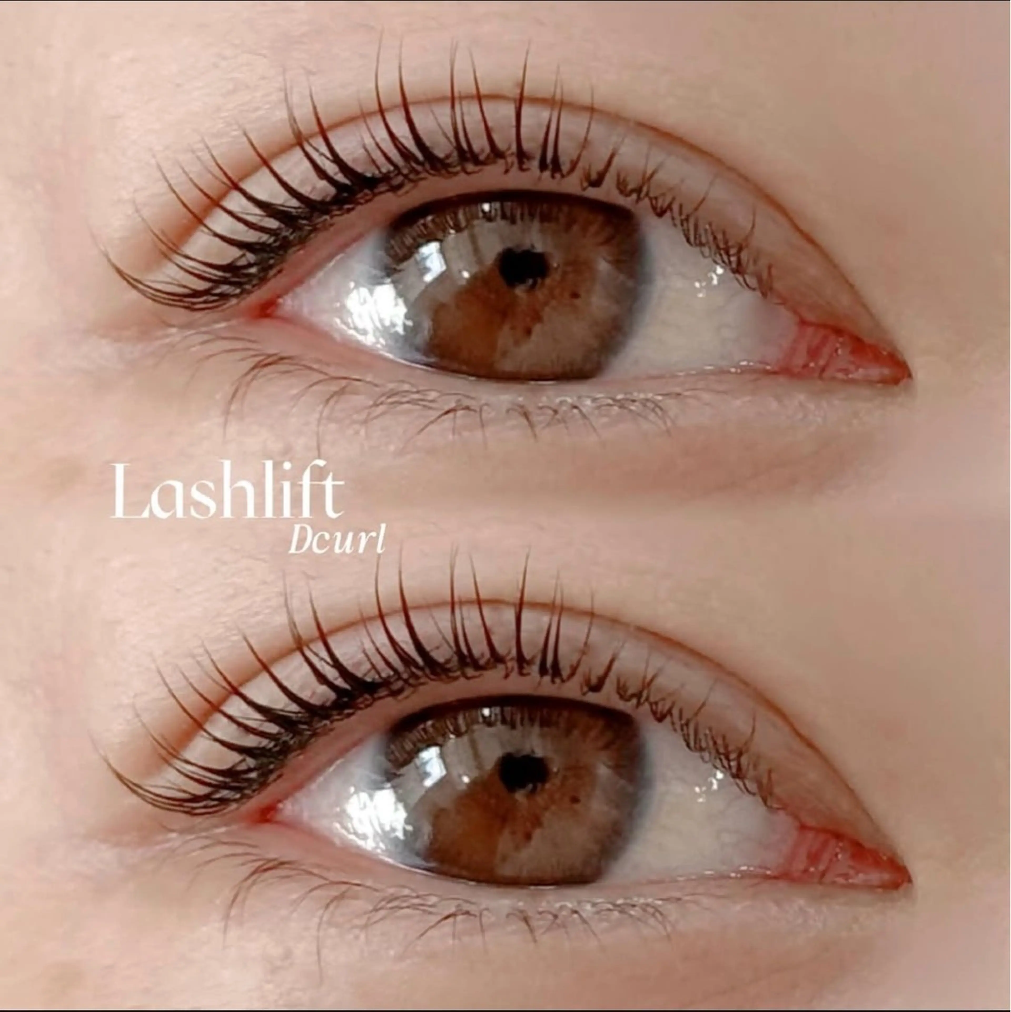 マツエク・マツパ まつげパーマ CoCo Eye CoCo Tume 【ココアイ/ココツメ】 ハローズ中庄店所属・倉敷ココアイココツメ kumamoto🪽の眉毛・アイブロウイメージ