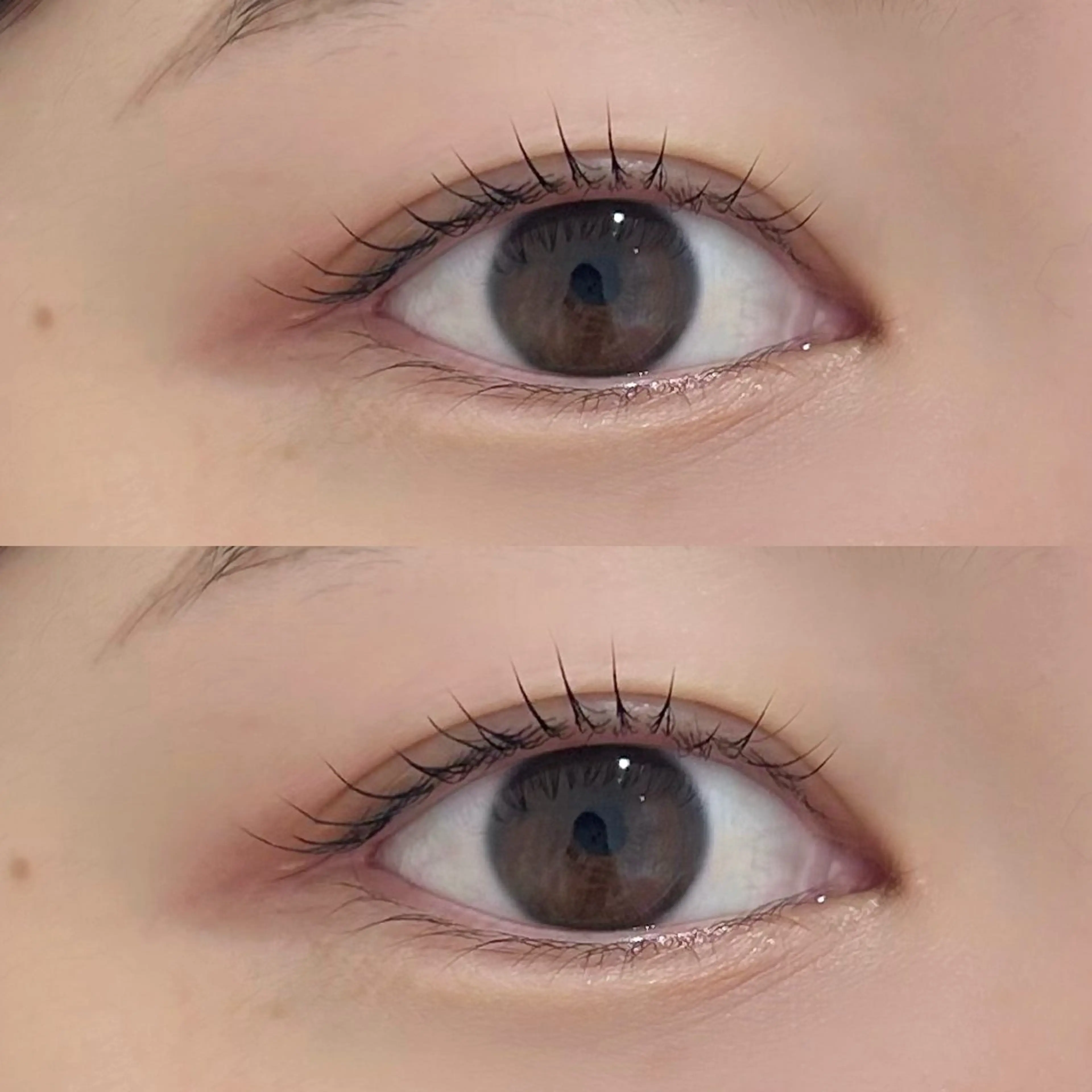 マツエク・マツパ マツパ SUGAR 綱崎愛音のマツエク・マツパデザイン