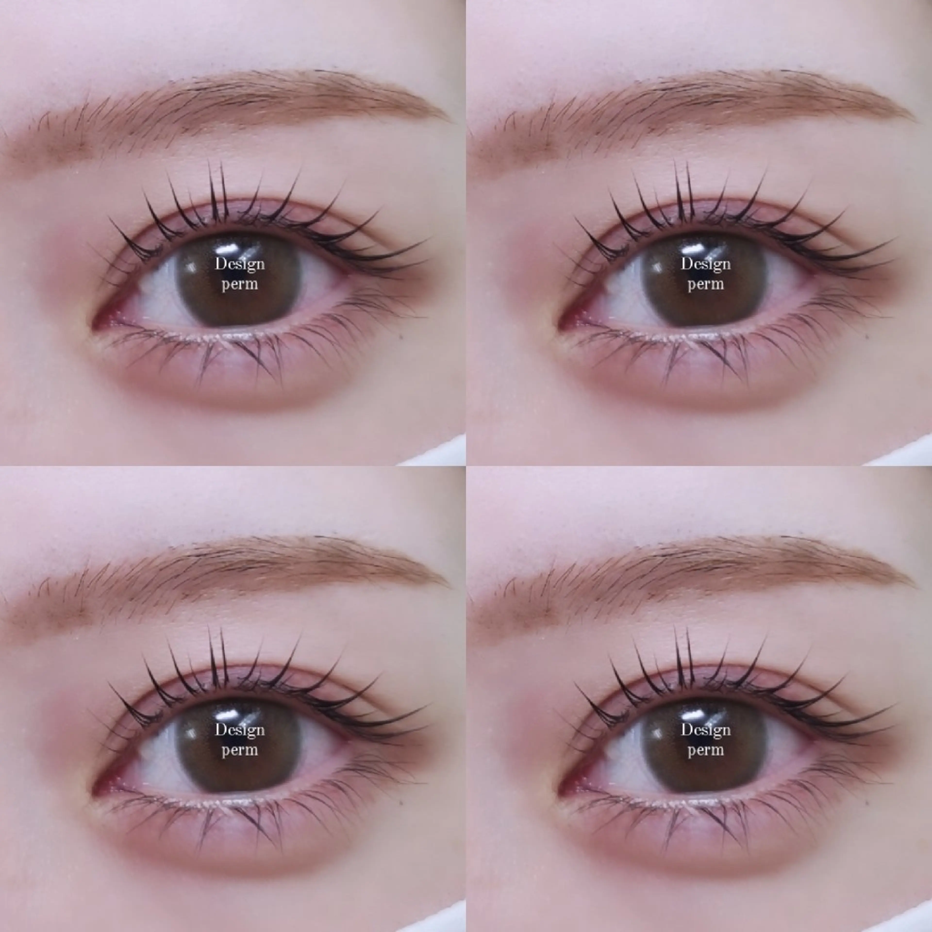 マツエク・マツパ マツパ eyelashsalon   rocolush 所属・★Hoshino★ 新宿西口 ·͜·🌟のマツエク・マツパデザイン