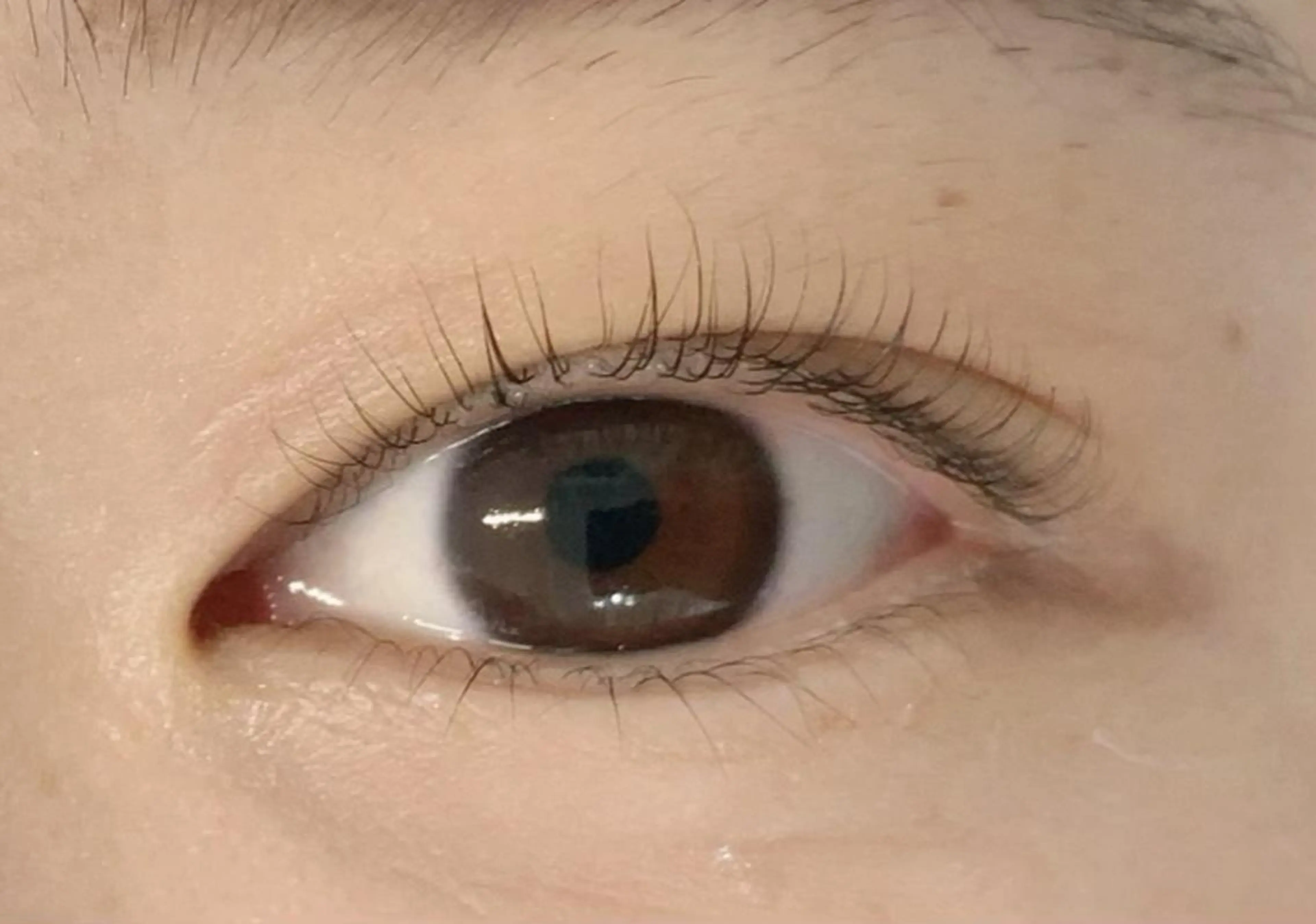 マツエク・マツパ 一重×まつ毛パーマ Bruges 自由が丘の眉毛・アイブロウイメージ