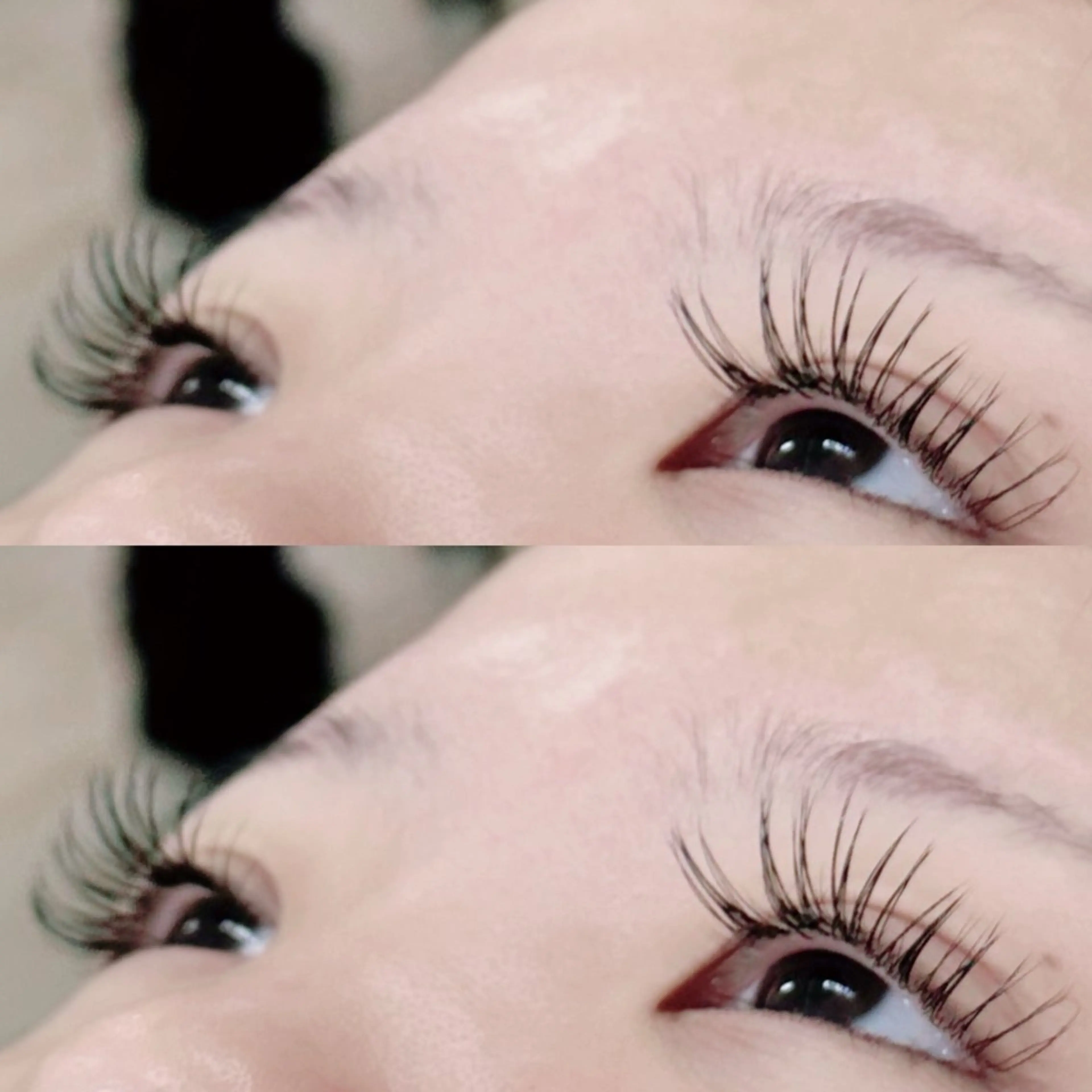 マツエク・マツパ マツエク TRU🦖 RIONA✮*｡ﾟの眉毛・アイブロウイメージ