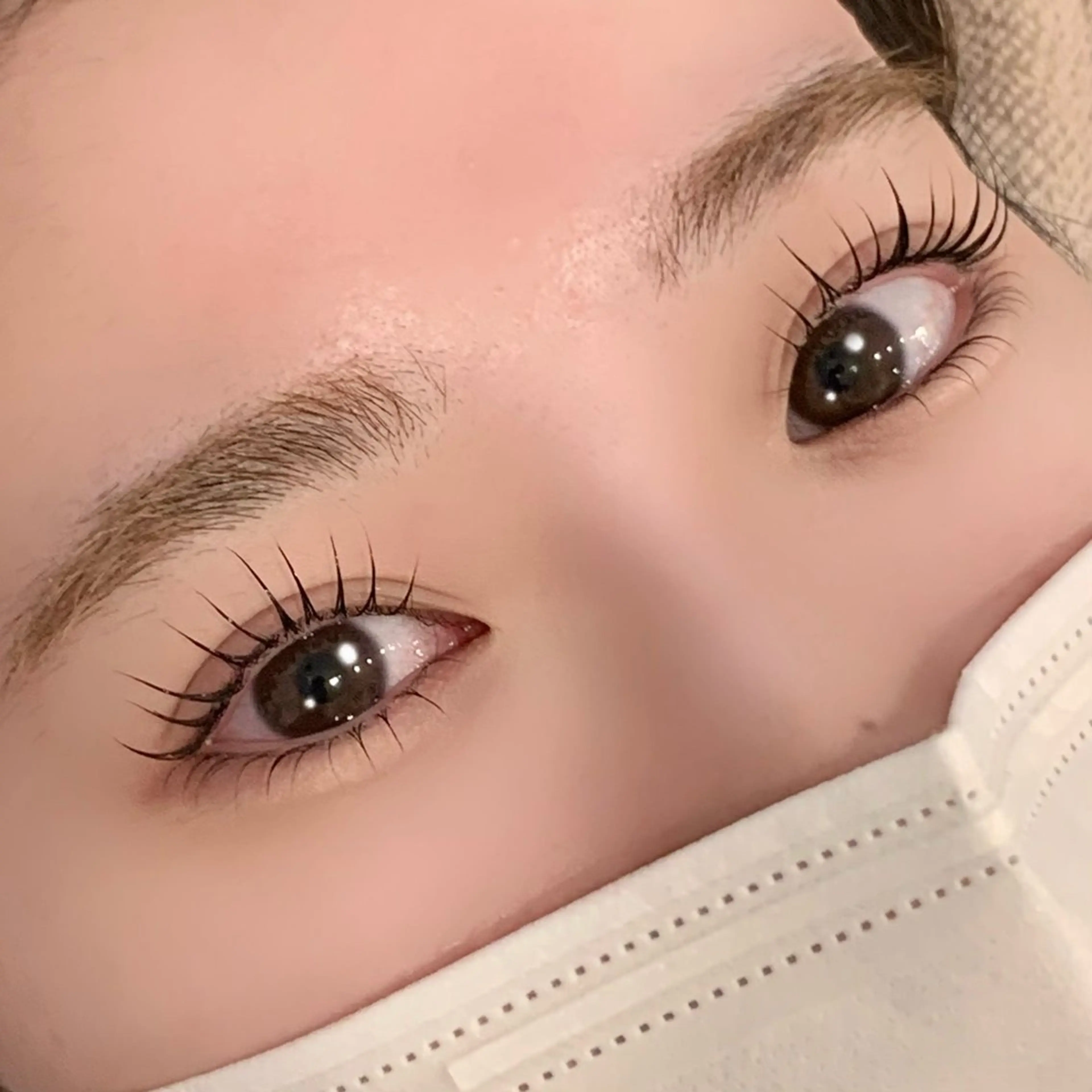 マツエク・マツパ マリーテレジア 無料モデルの眉毛・アイブロウイメージ