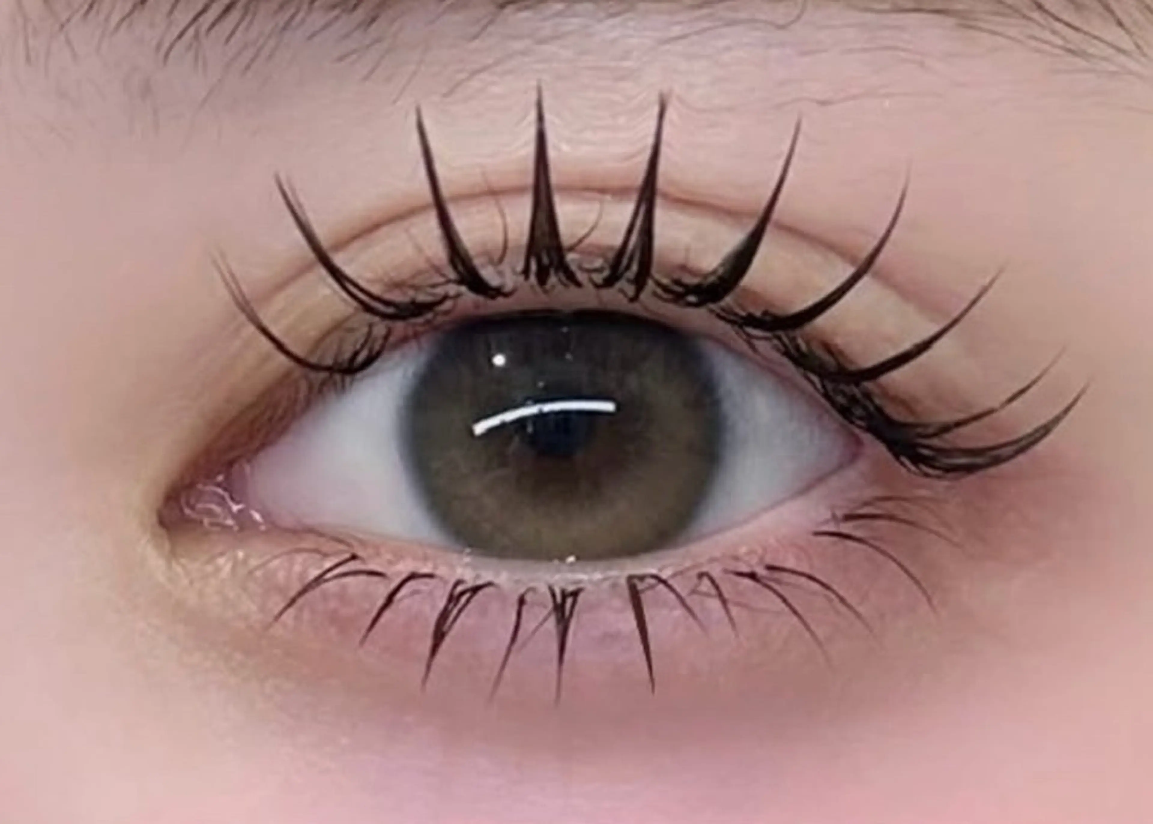 マツエク・マツパ マツエク Lau【ラウ】所属・Lau【ラウ】 ⁂NaNaのマツエク・マツパデザイン