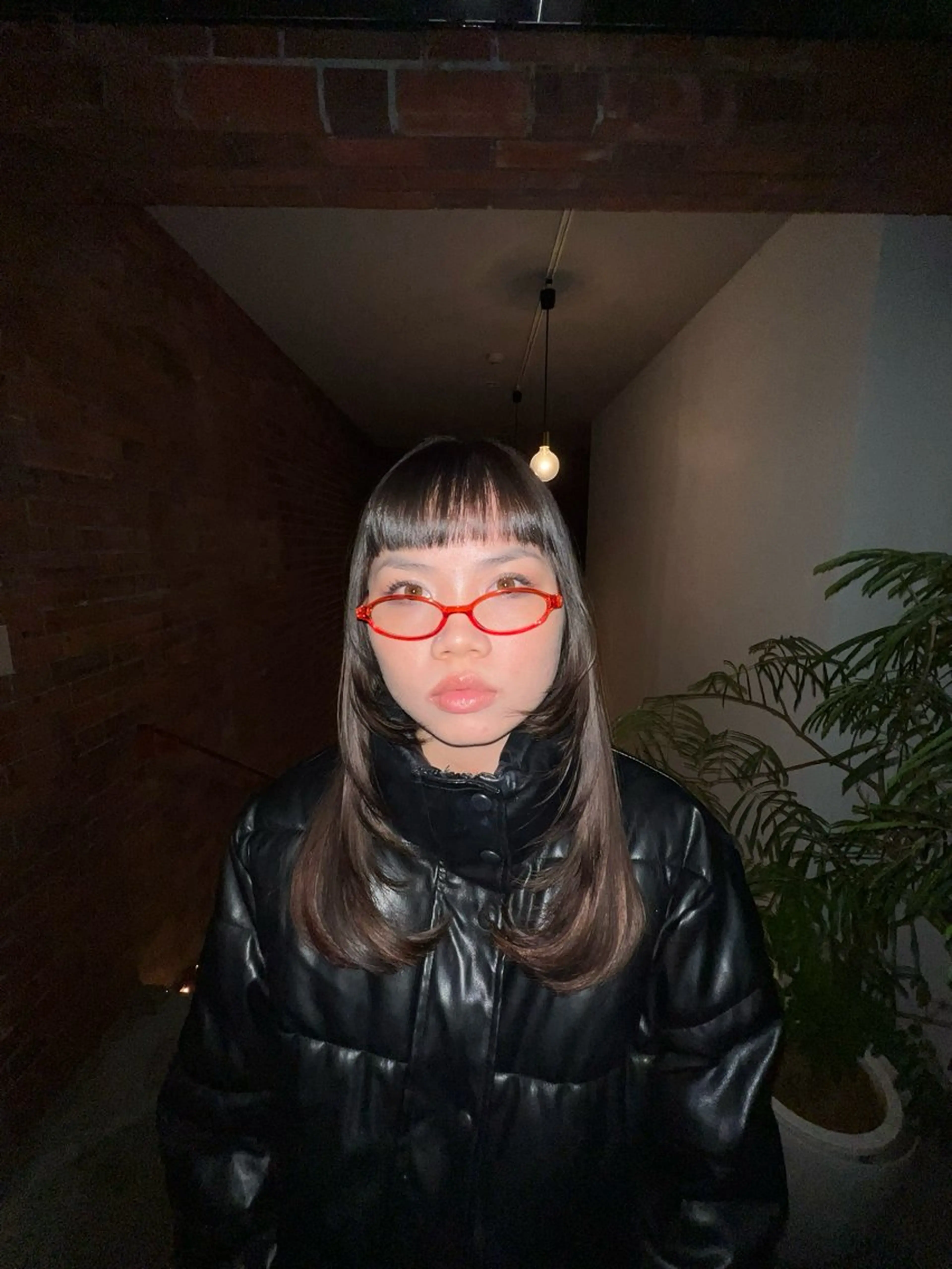 トリートメントのみの写真