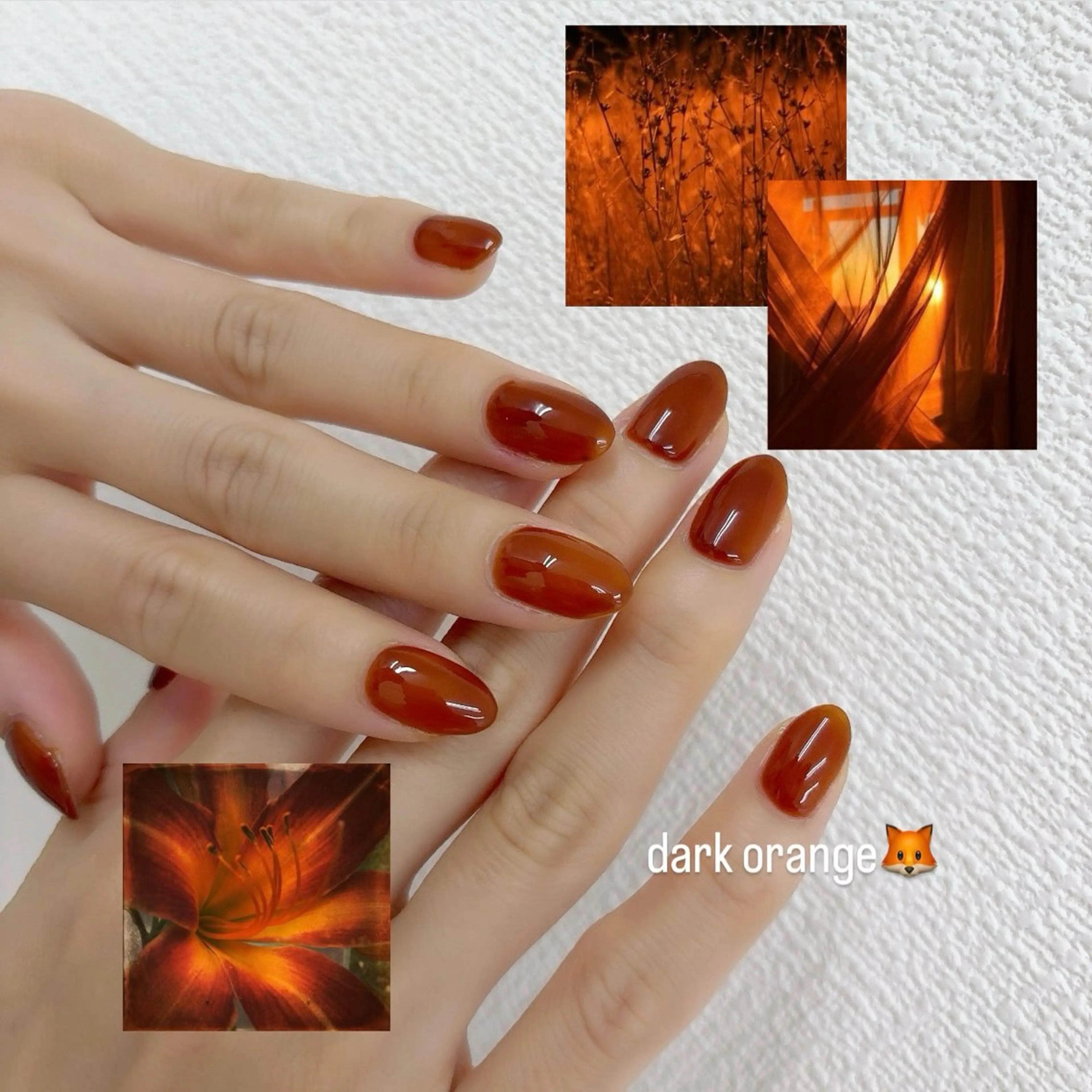 Hand ネイルモデル　ワンカラー "オフ有り" "フィルイン可能🉑"の写真