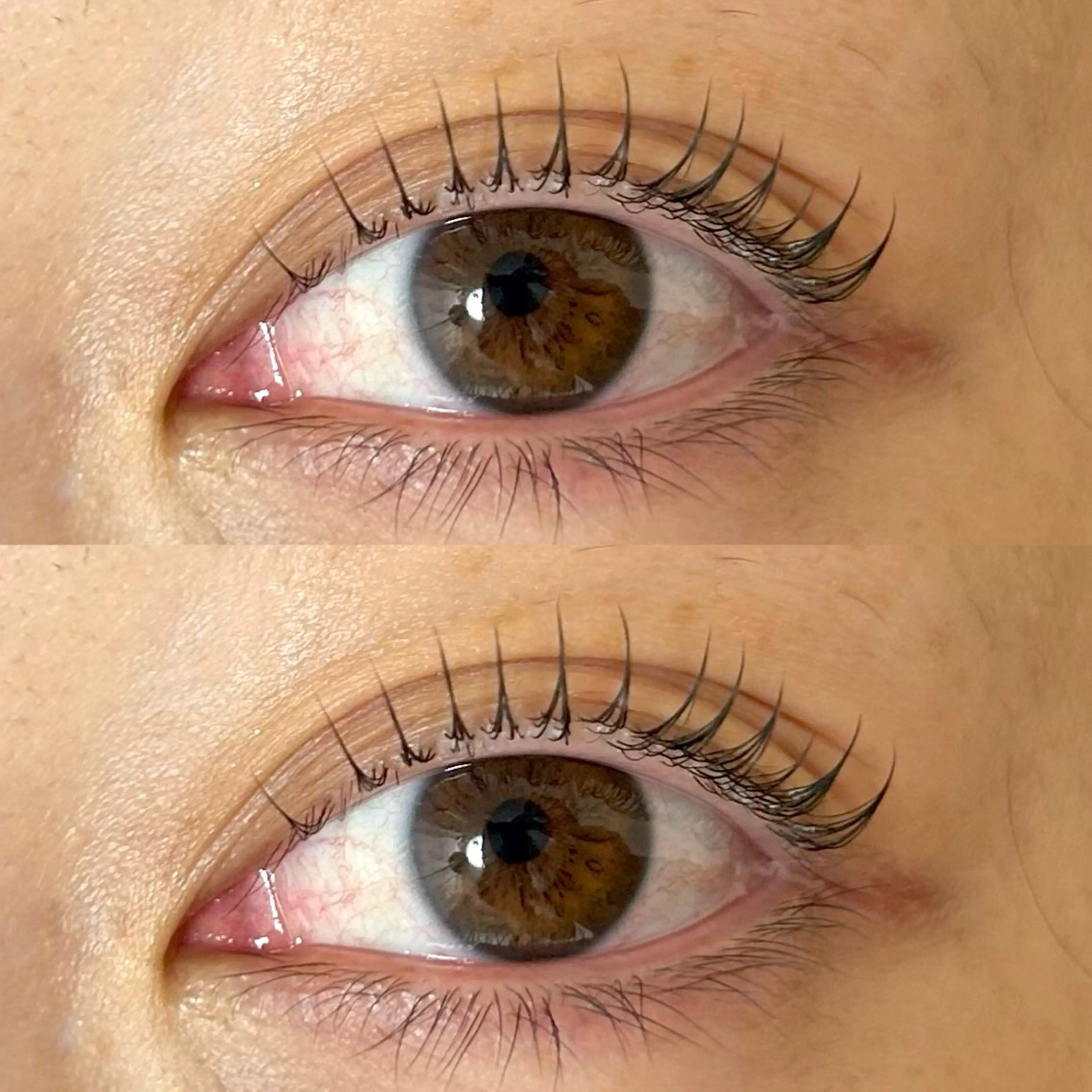 マツエク・マツパ まつげパーマ siieyelash 鷺沼店HONOKAのマツエク・マツパデザイン