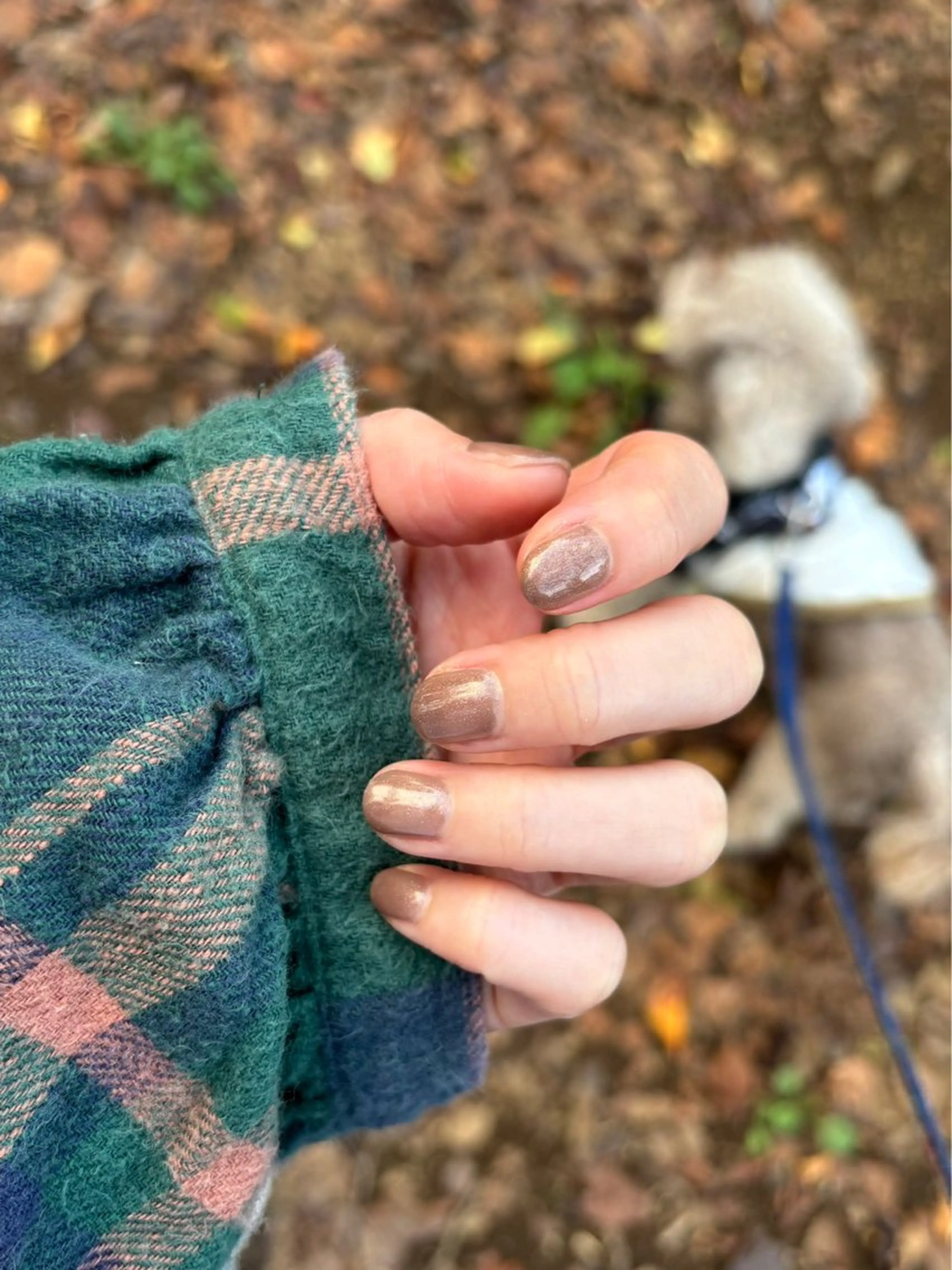 ネイル ブラウン ラメ(グリッター) ワンカラーネイル ハンドネイル ハンドケア Bana_ Nailのネイルデザイン