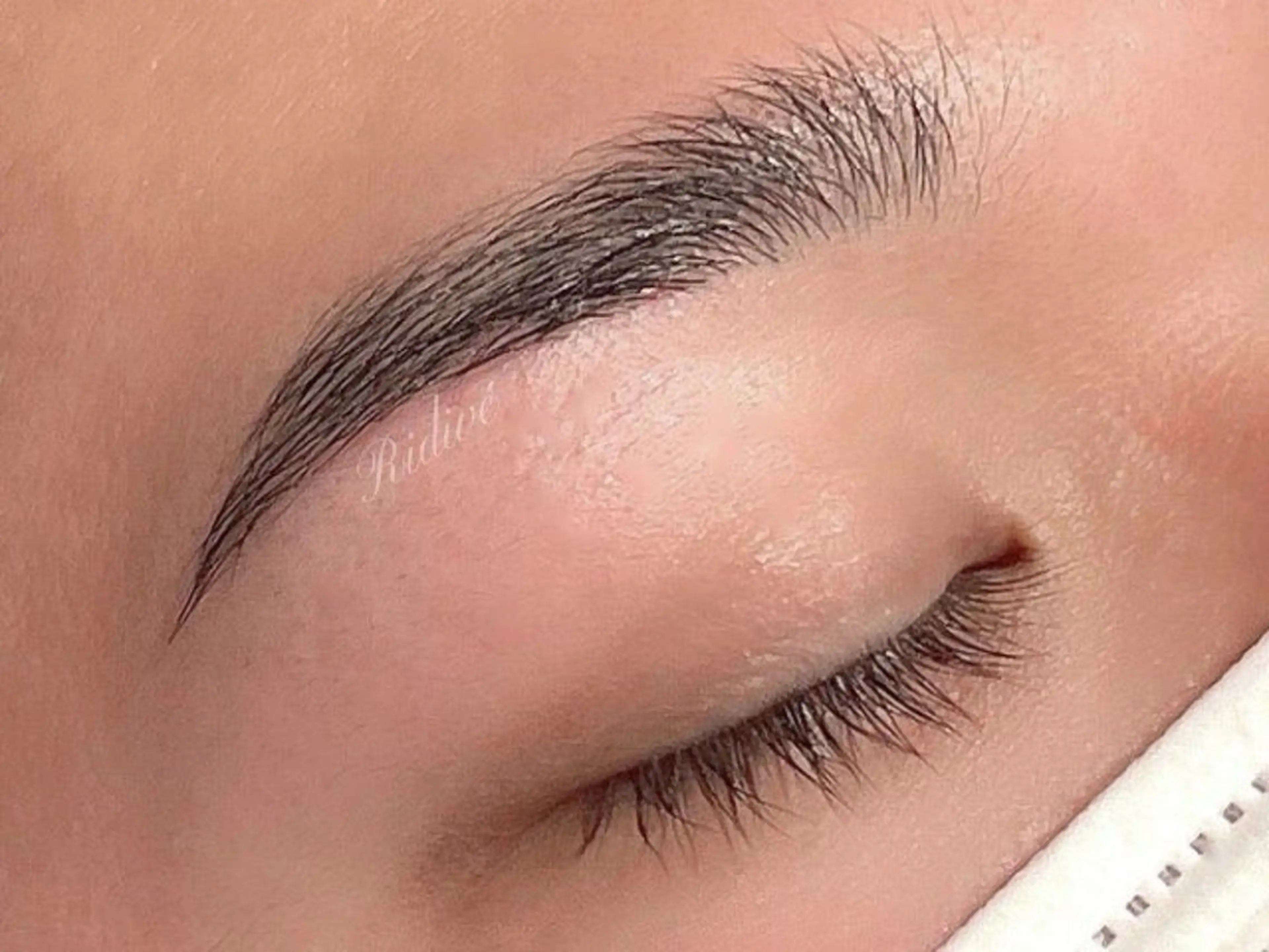 アイブロウ Ridive momokaの眉毛・アイブロウイメージ
