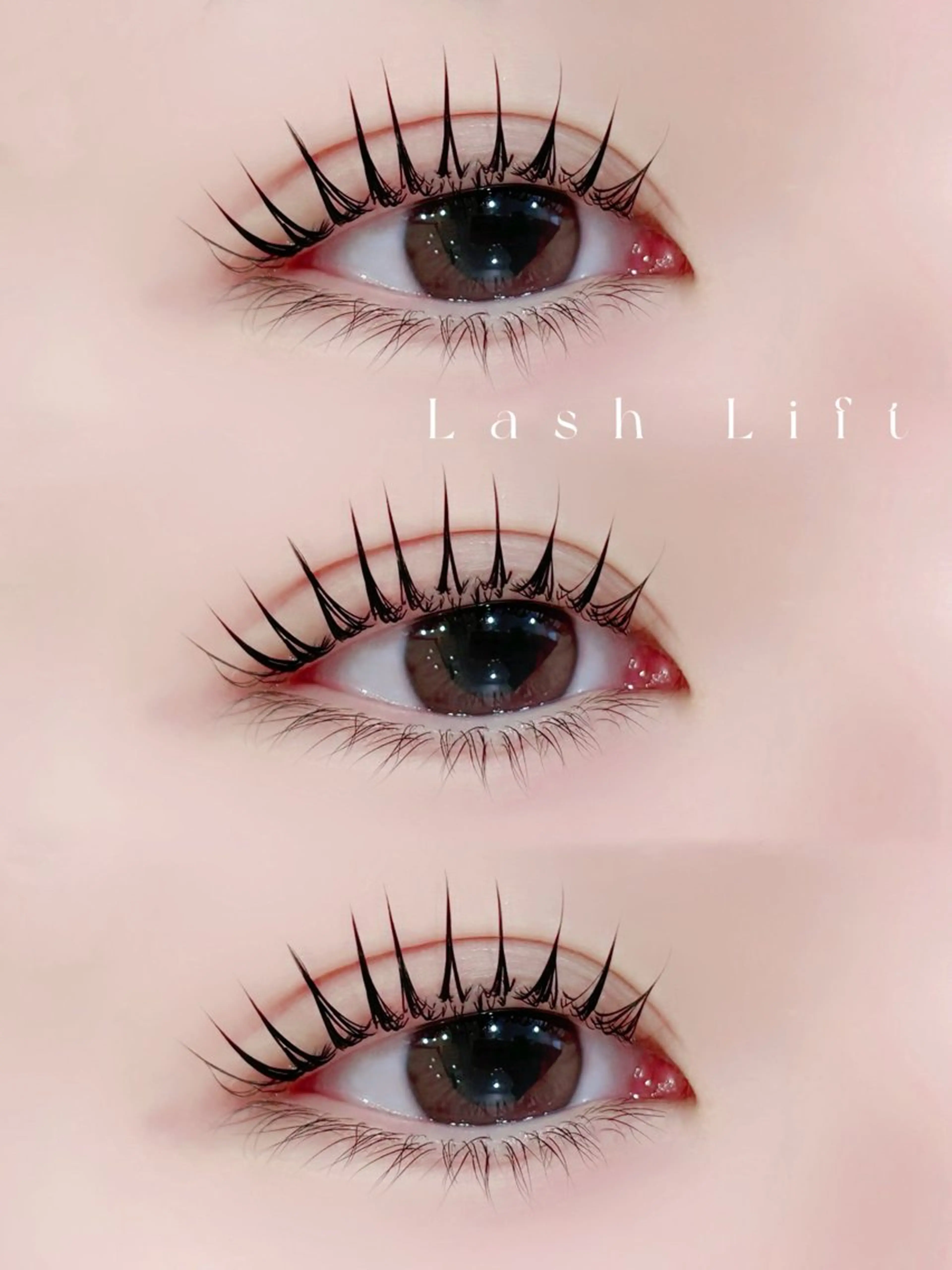 ãããšã¯ã»ããã ããã EMANONæå±ã»ððððð€ ææãŸã€ãïœå¿ææ©ã®ãããšã¯ã»ããããã¶ã€ã³