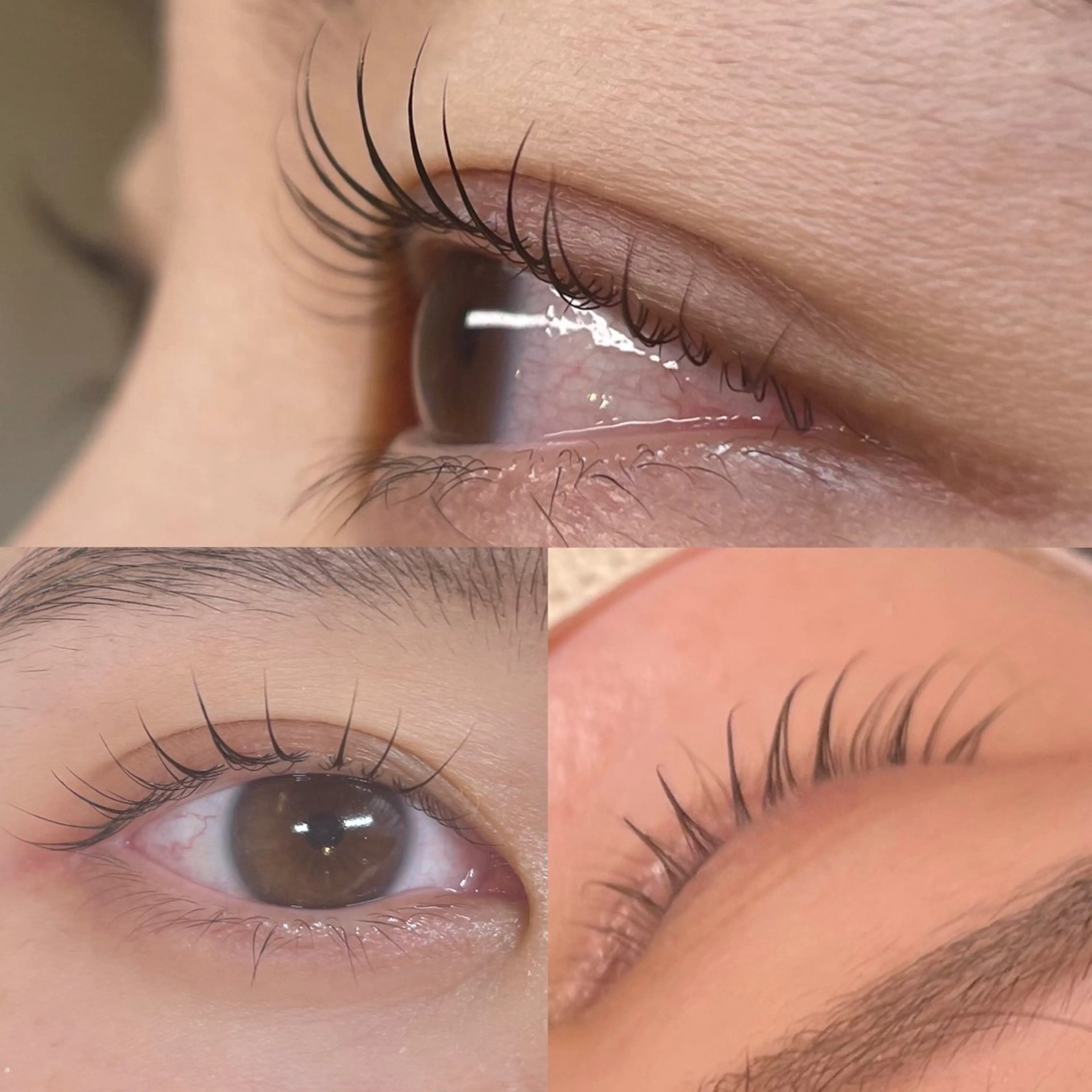 マツエク・マツパ eyelash salon　teraのマツエク・マツパデザイン