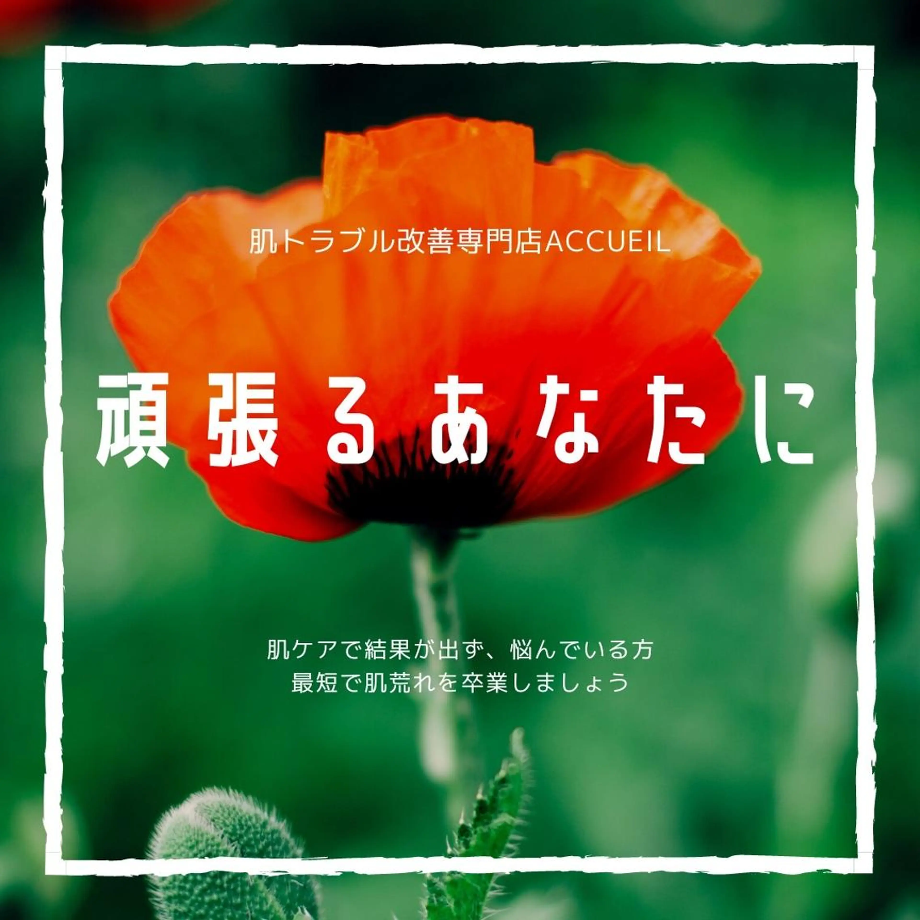憧れ韓流素肌に🪽 毛穴肌管理のエステ・リラクイメージ
