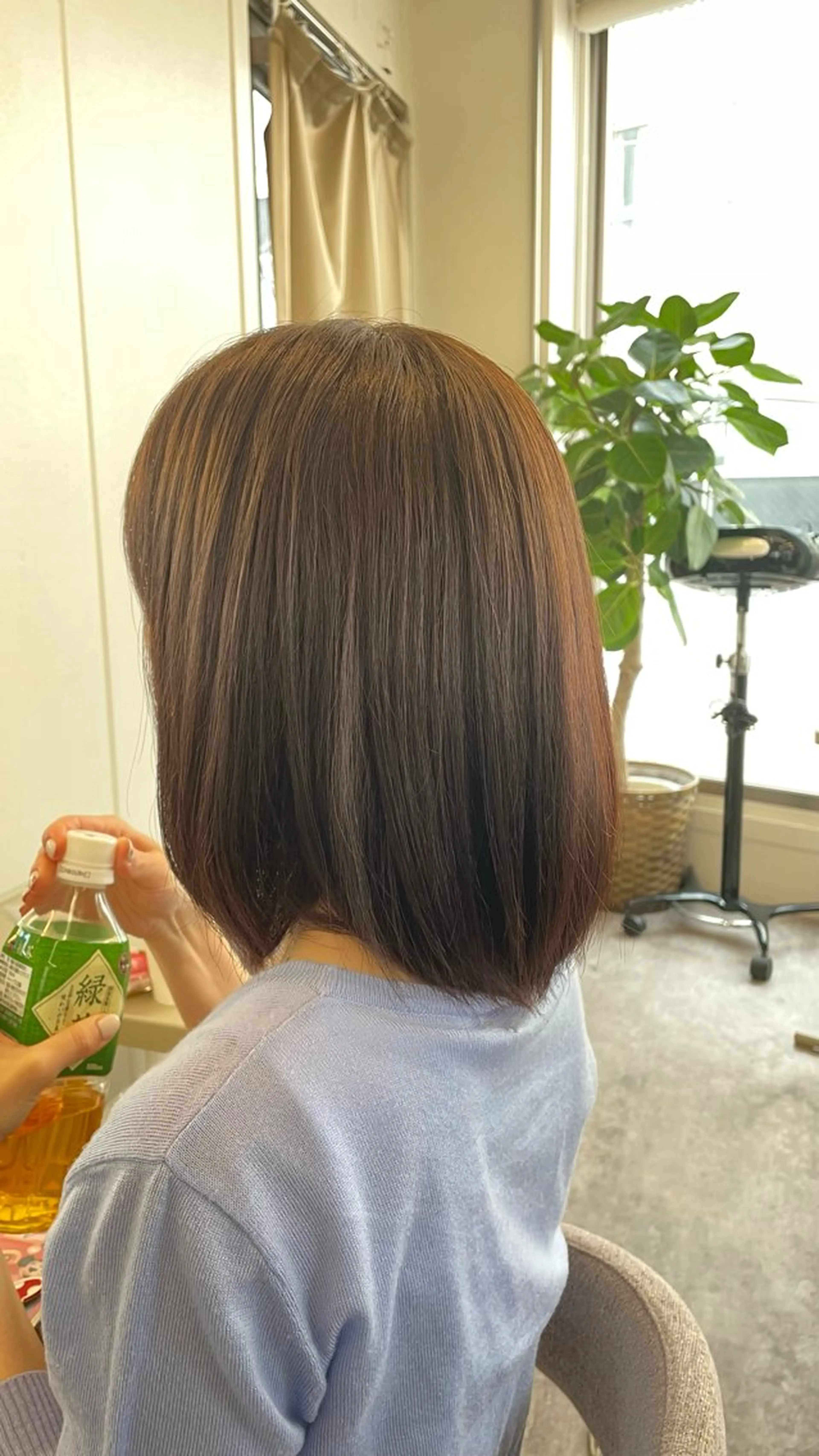 ミディアム カット ヘアカラー トリートメント 【髪質改善サロン】 🌟だいち🌟のヘアスタイル