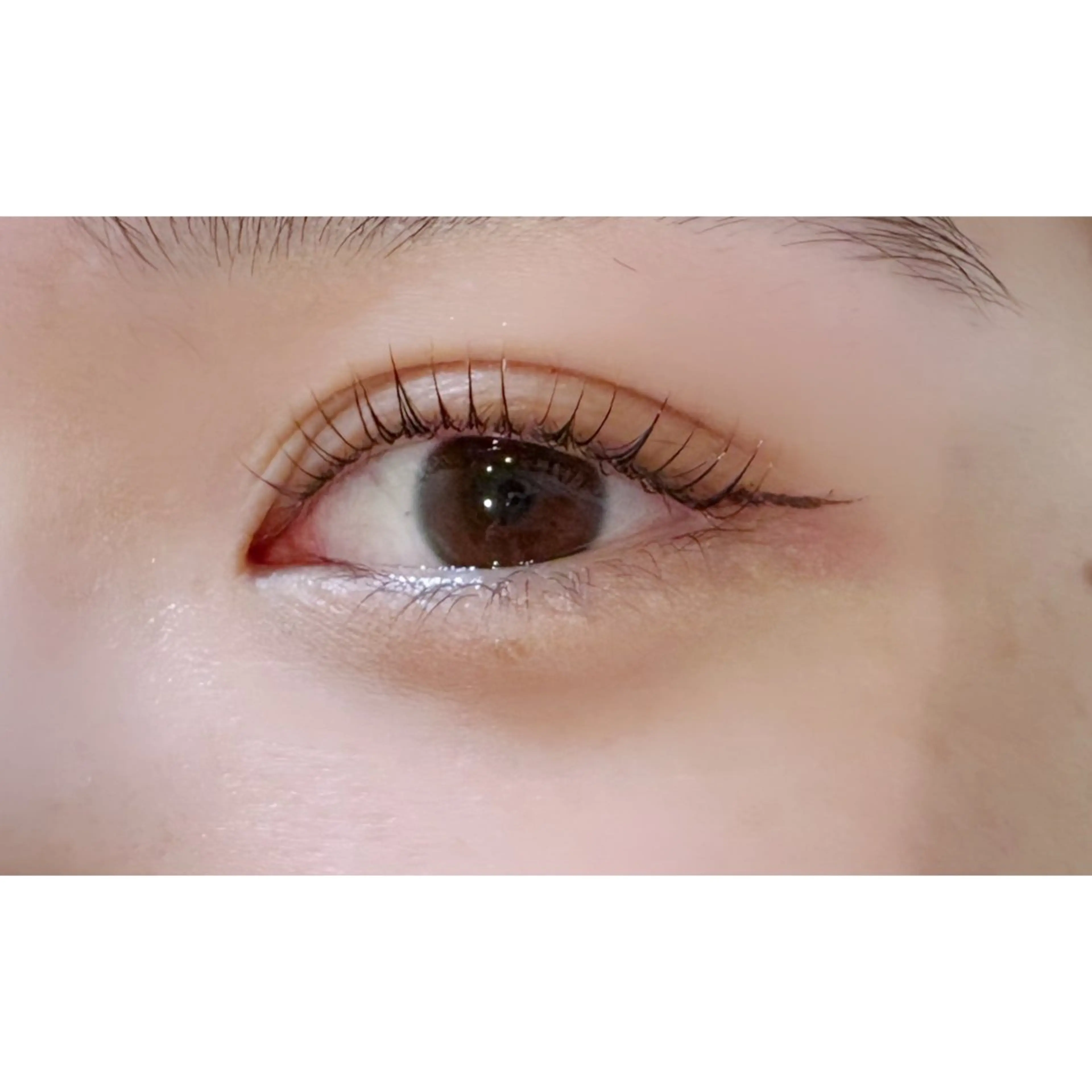 18日限定❣️ラッシュリフトorパリジェンヌ🌟の写真