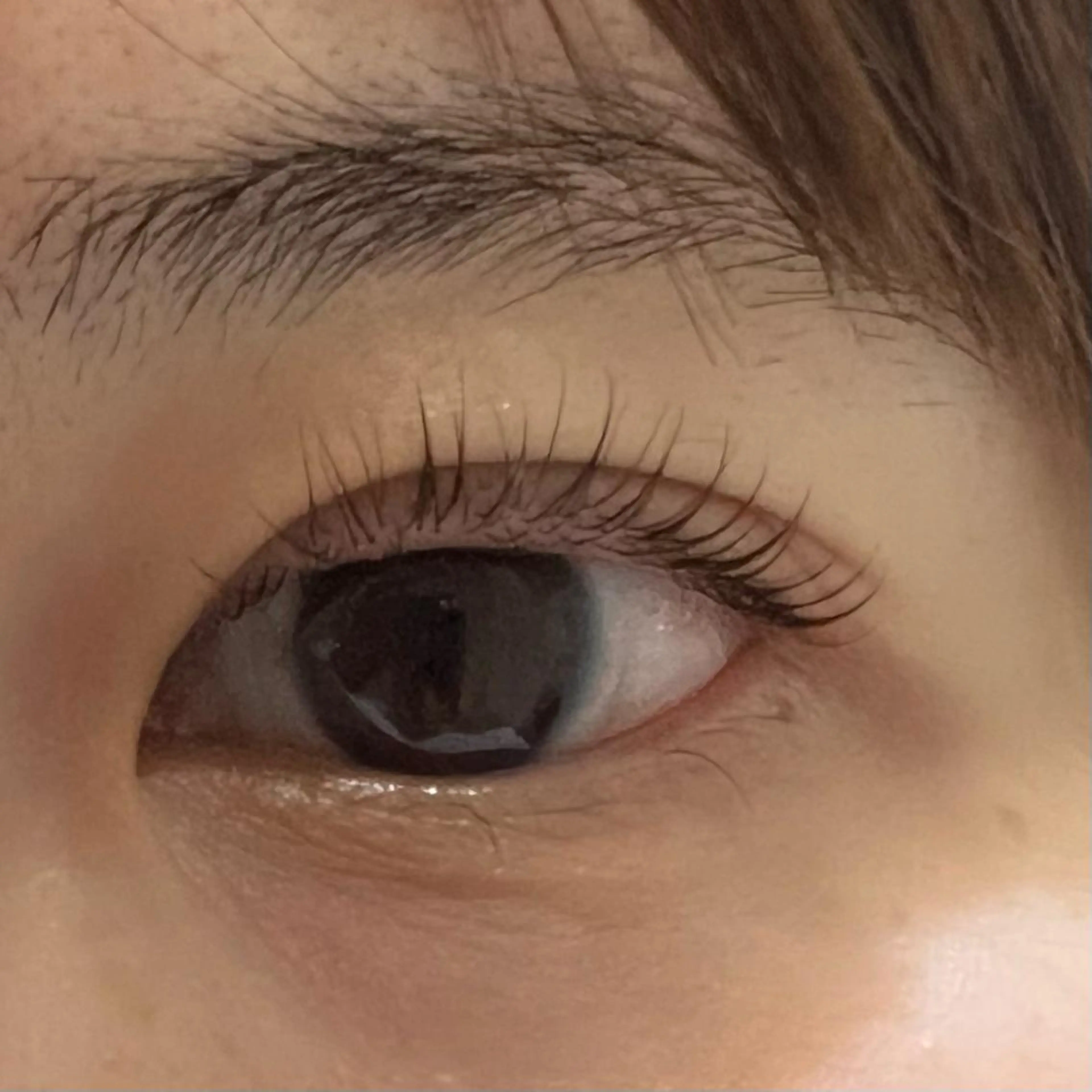 マツエク・マツパ miel中百舌鳥所属・miel yamaguchiの眉毛・アイブロウイメージ