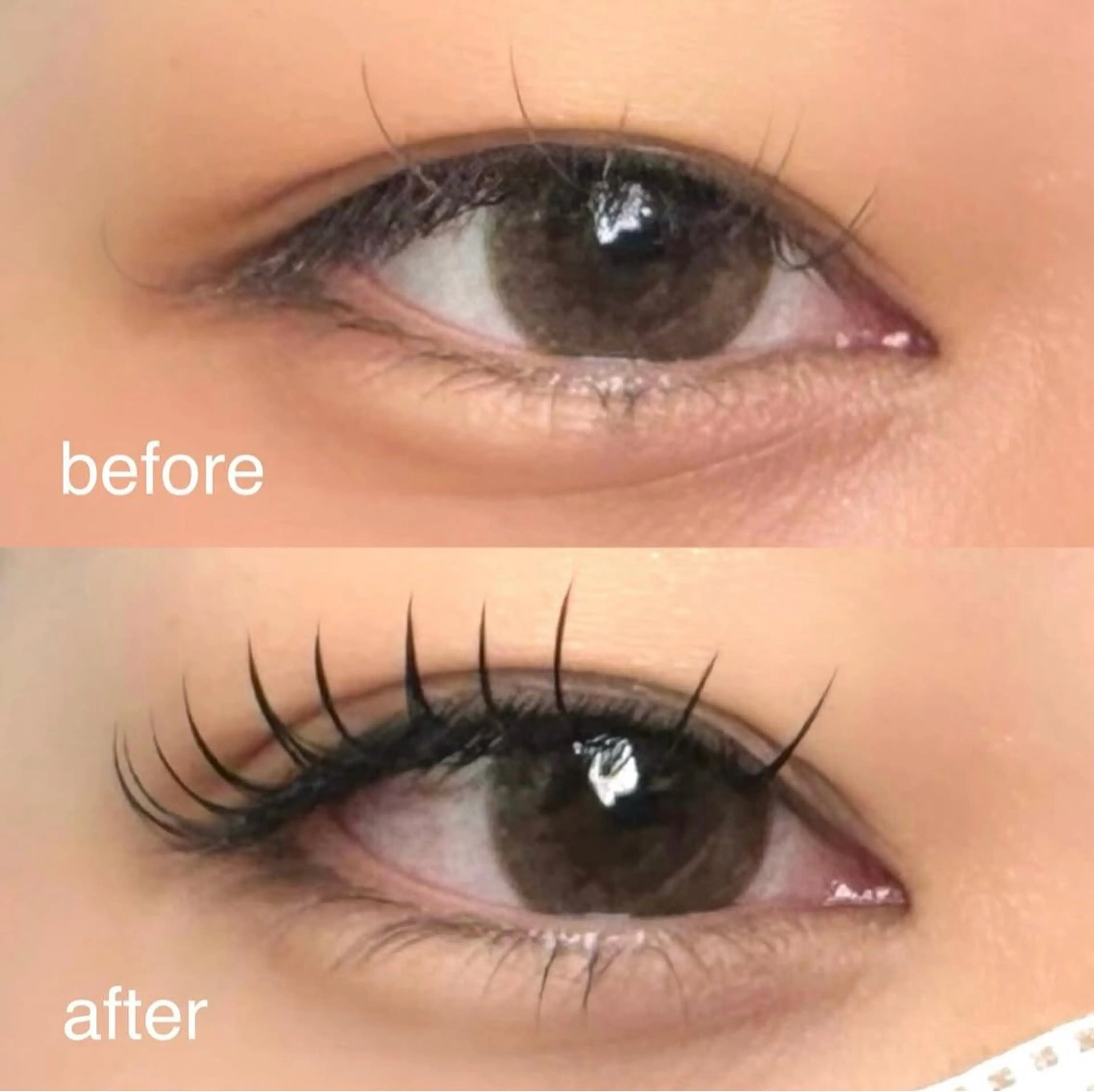 マツエク/バインドロック　付け放題　⚠️本数指定不可⚠️の写真