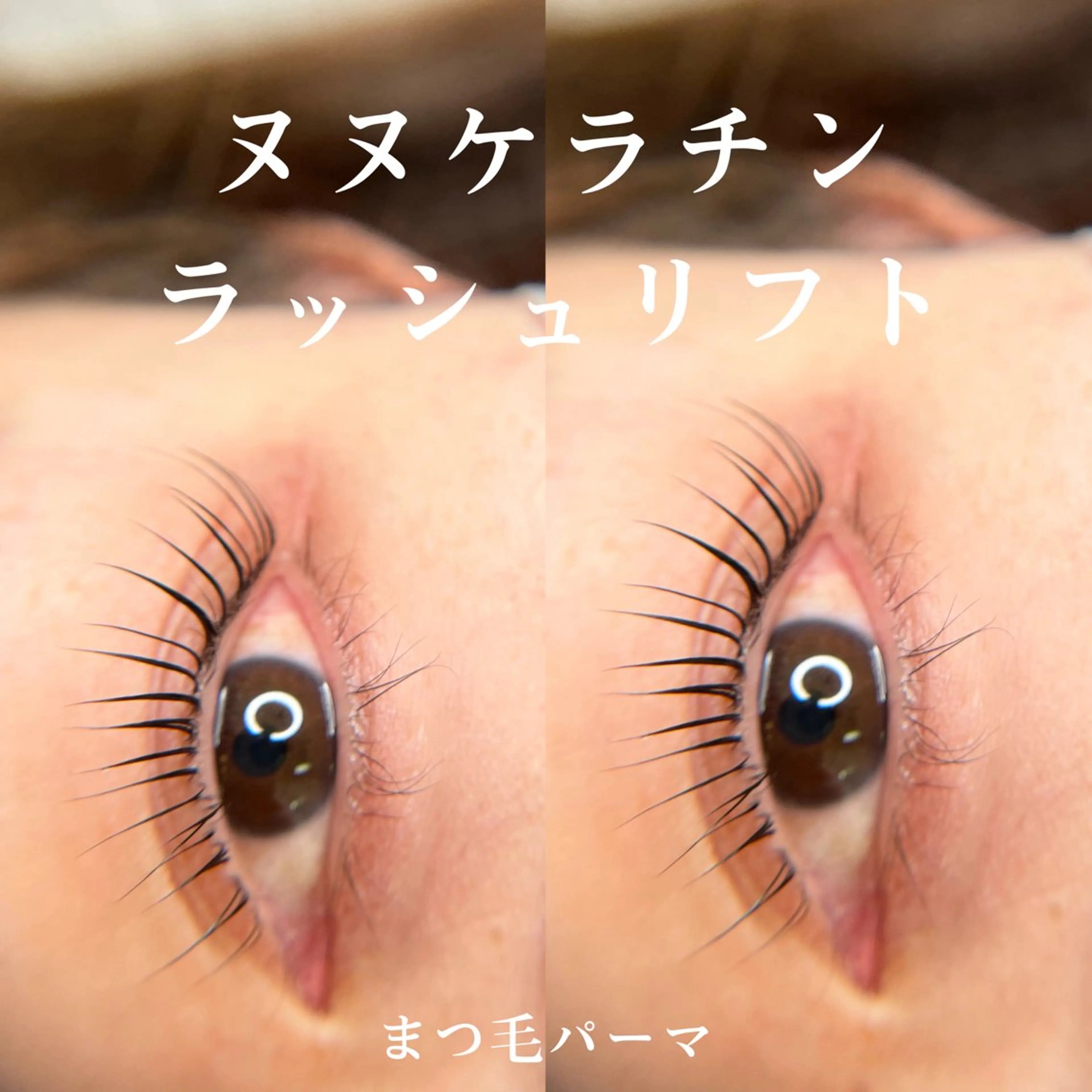 ヌヌケラチンラッシュリフト/次世代まつげパーマ🌻の写真